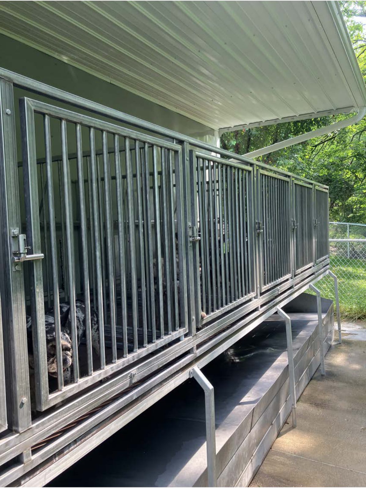 Kennel photograph taken at the Ohio inspection of Levi E Miller – Owl Creek Kennel on June 27, 2025, page 4 of the inspection report