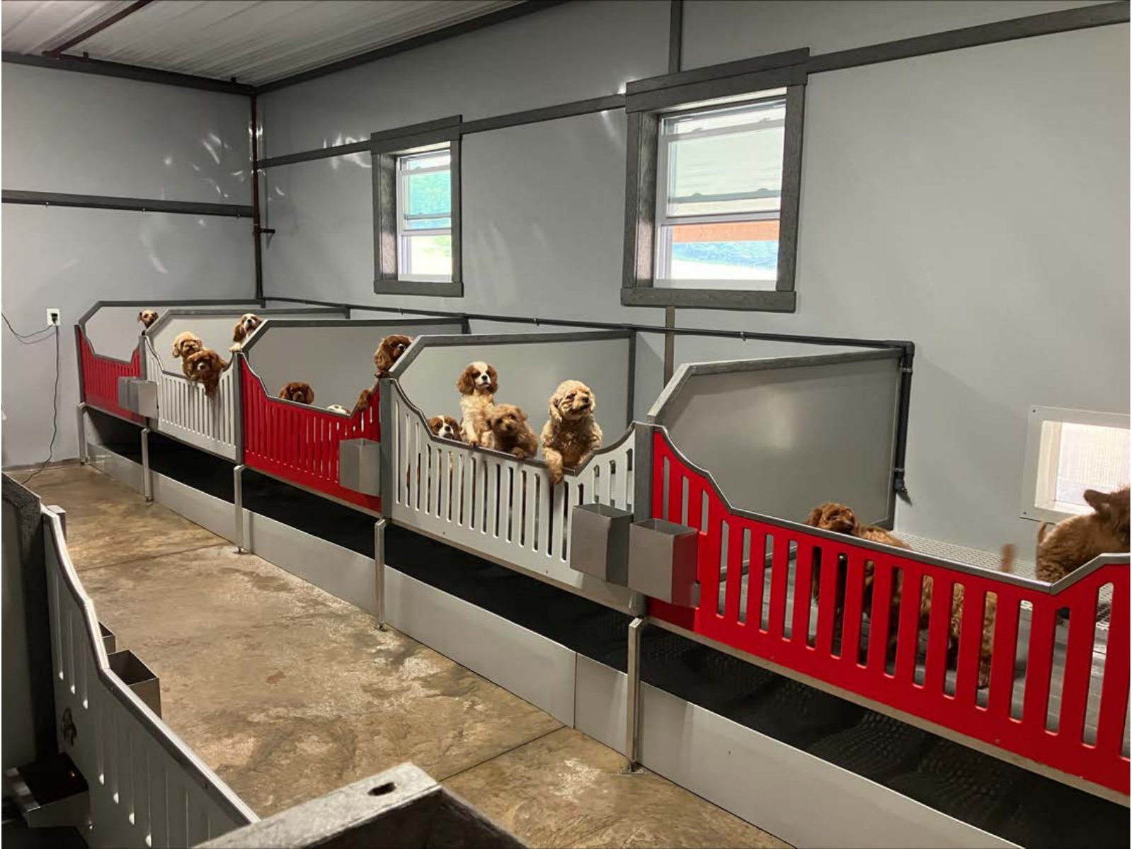 Kennel photograph taken at the Ohio inspection of Joseph D Barkman – Baltic, OH on June 13, 2025, page 2 of the inspection report