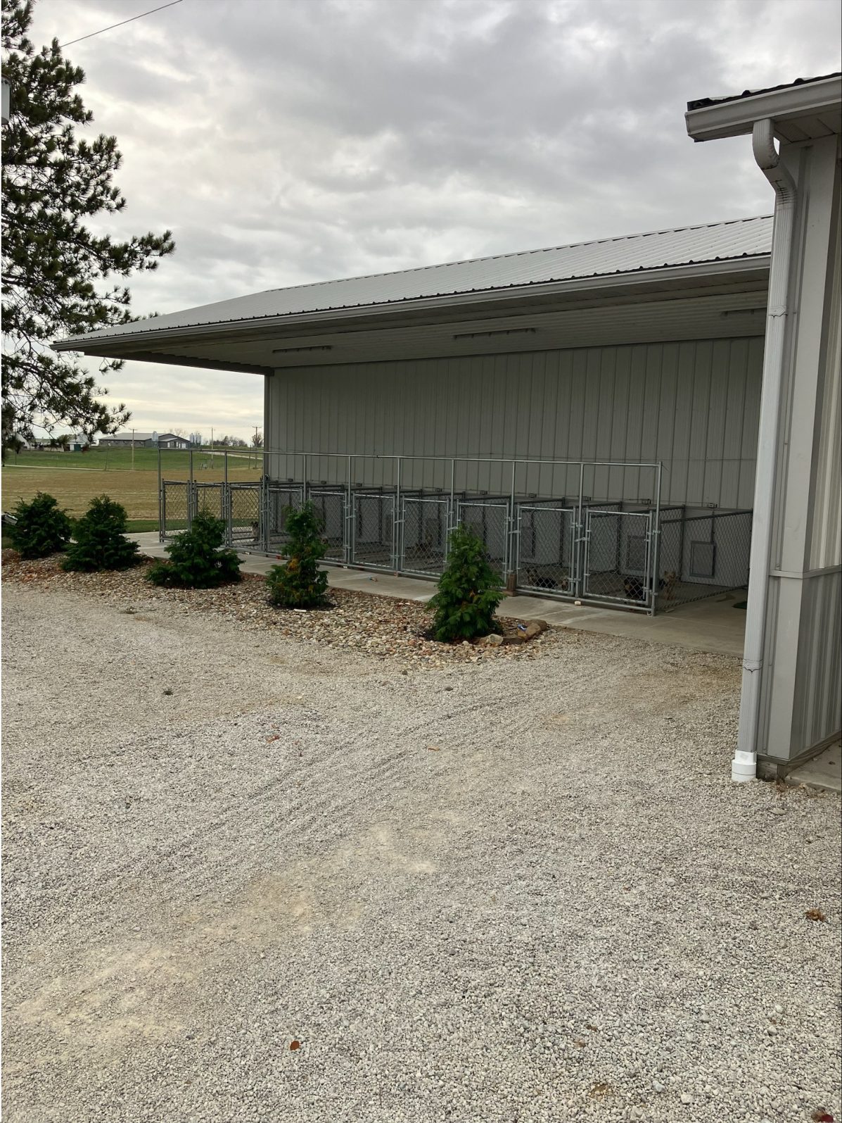 Kennel photograph taken at the Ohio inspection of Isaac Z Martin – Shiloh, OH on November 4, 2024, page 2 of the inspection report