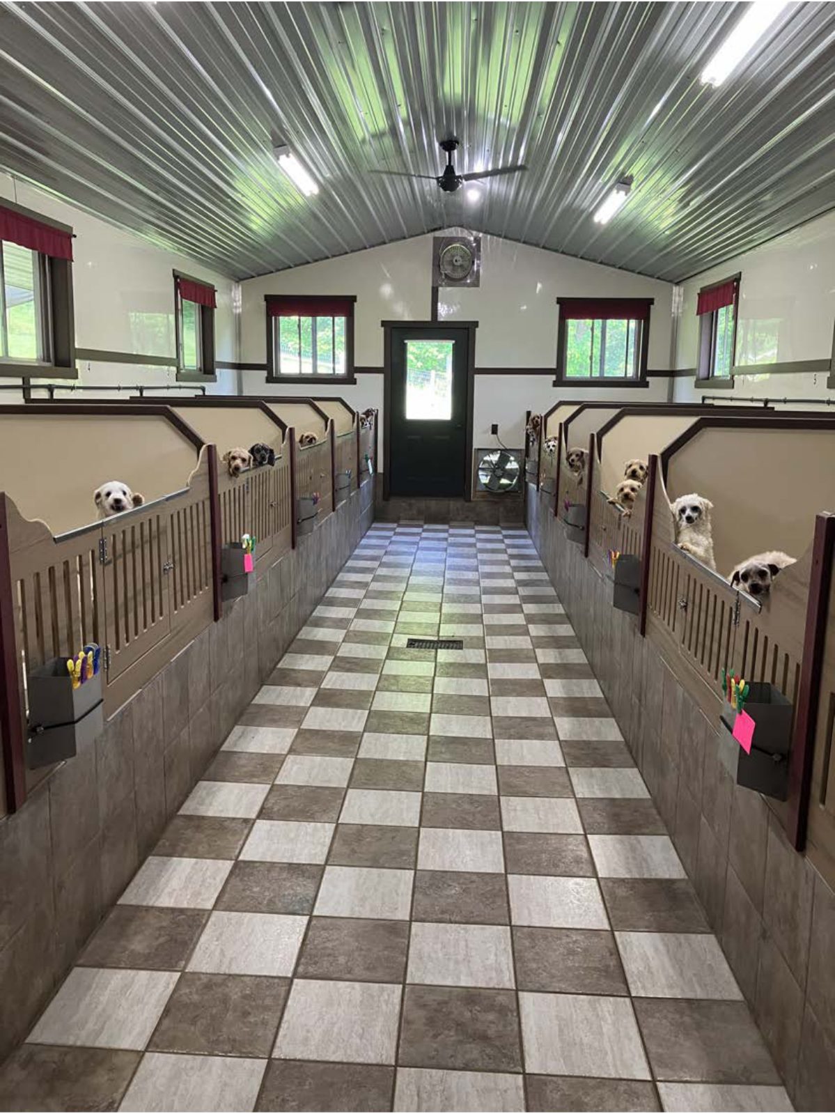 Kennel photograph taken at the Ohio inspection of Andy J Raber – Baltic, OH on June 12, 2025, page 3 of the inspection report