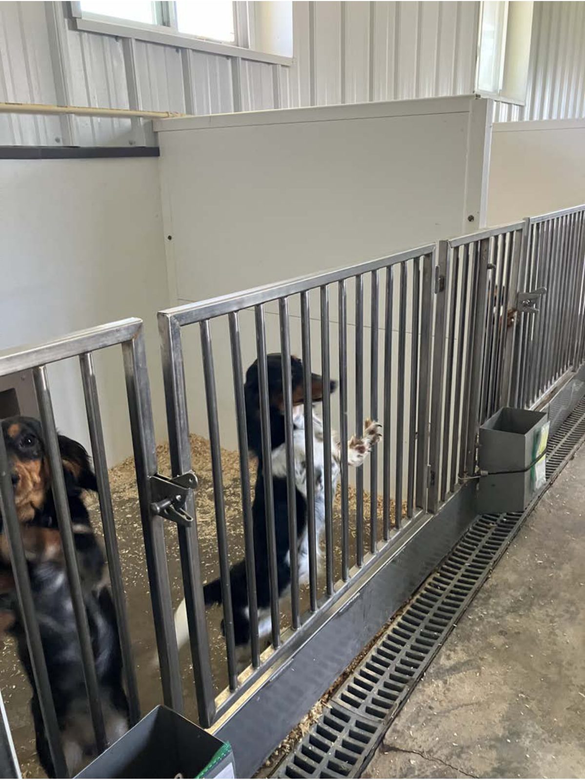 Kennel photograph taken at the Ohio inspection of Harvey M Burkholder – H&A Kennel on August 27, 2025, page 2 of the inspection report