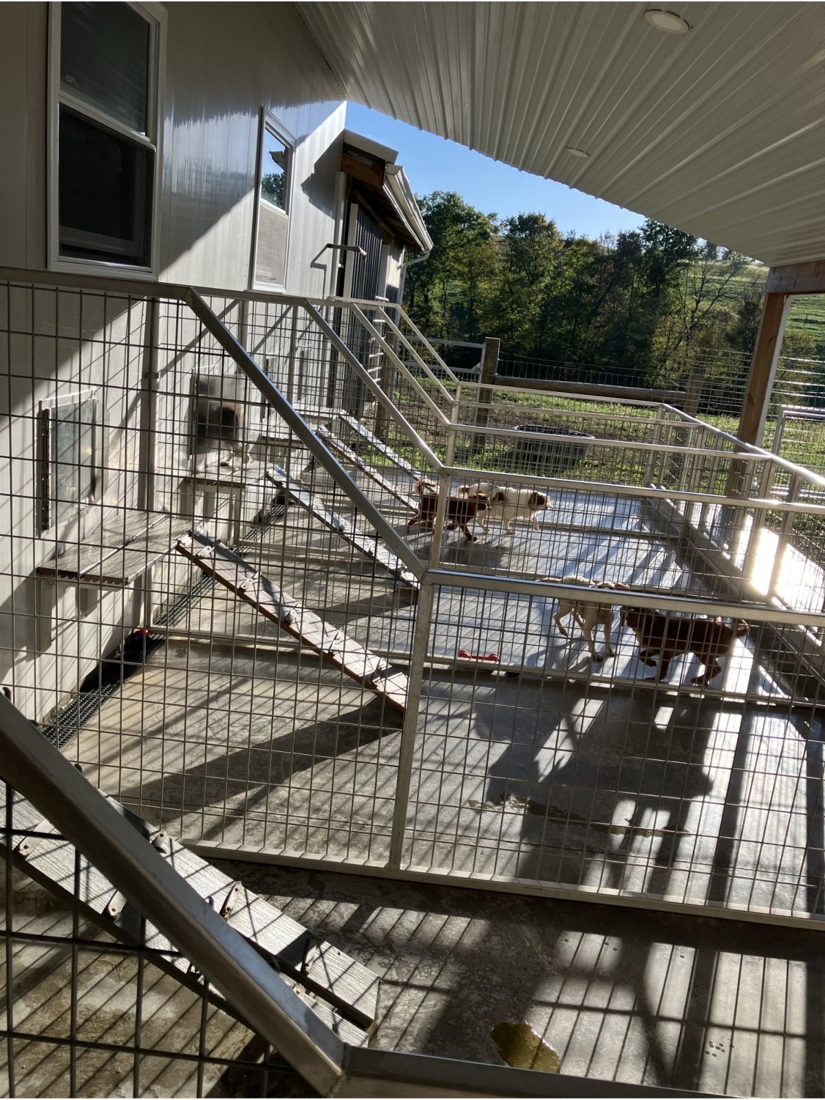 Kennel photograph taken at the Ohio inspection of Joseph D Barkman – Baltic, OH on October 7, 2024, page 3 of the inspection report