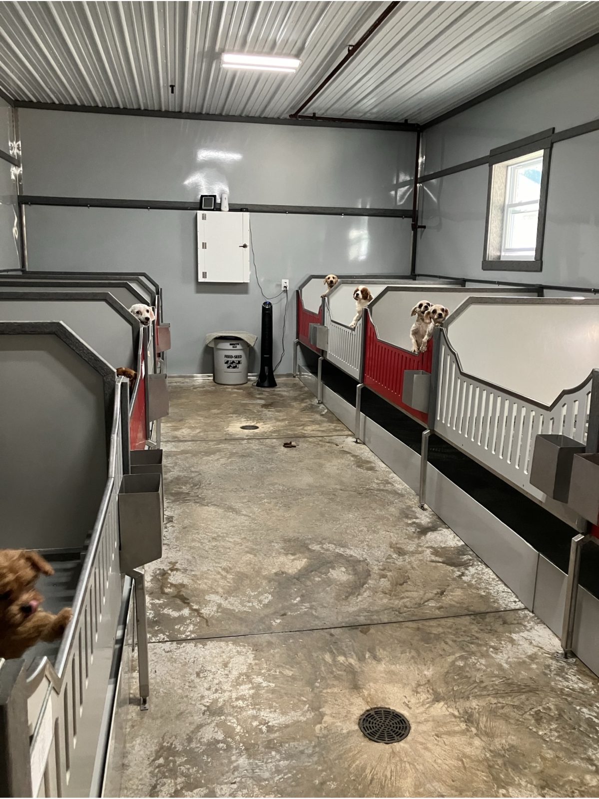 Kennel photograph taken at the Ohio inspection of Joseph D Barkman – Baltic, OH on October 7, 2024, page 4 of the inspection report