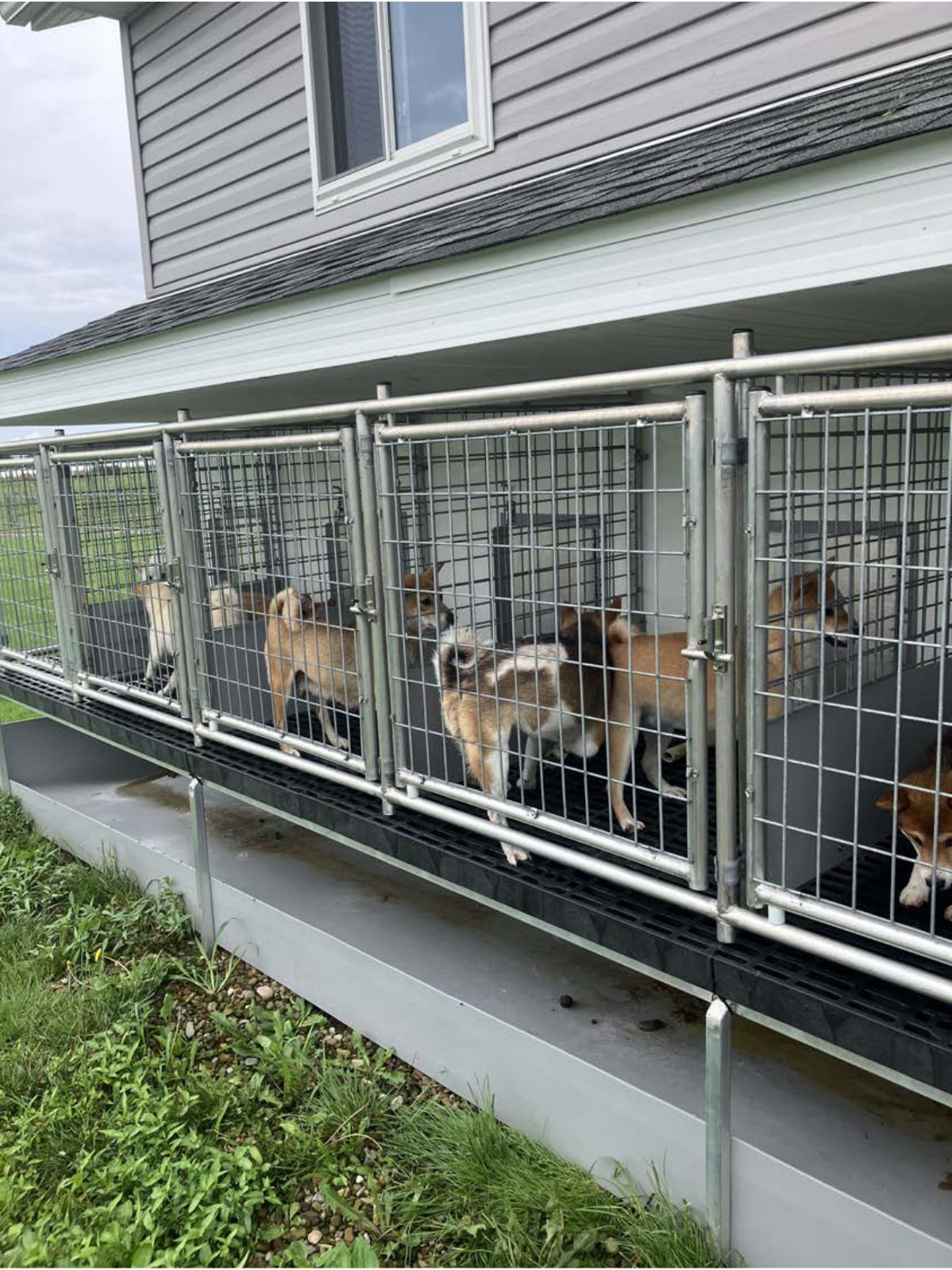 Kennel photograph taken at the Ohio inspection of Aden M Yoder – North View Pets on July 1, 2025, page 3 of the inspection report