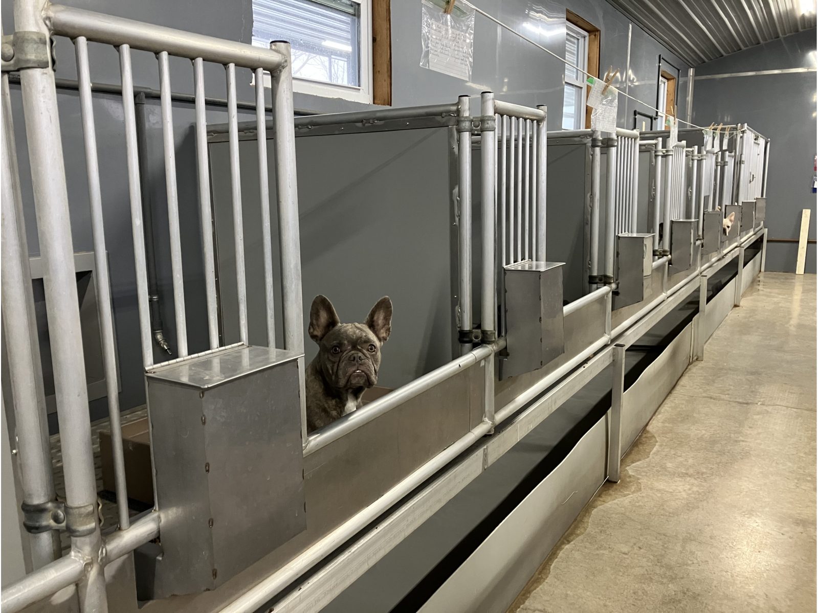 Kennel photograph taken at the Ohio inspection of Henry L Hershberger – Hill Country Paws on December 11, 2024, page 3 of the inspection report
