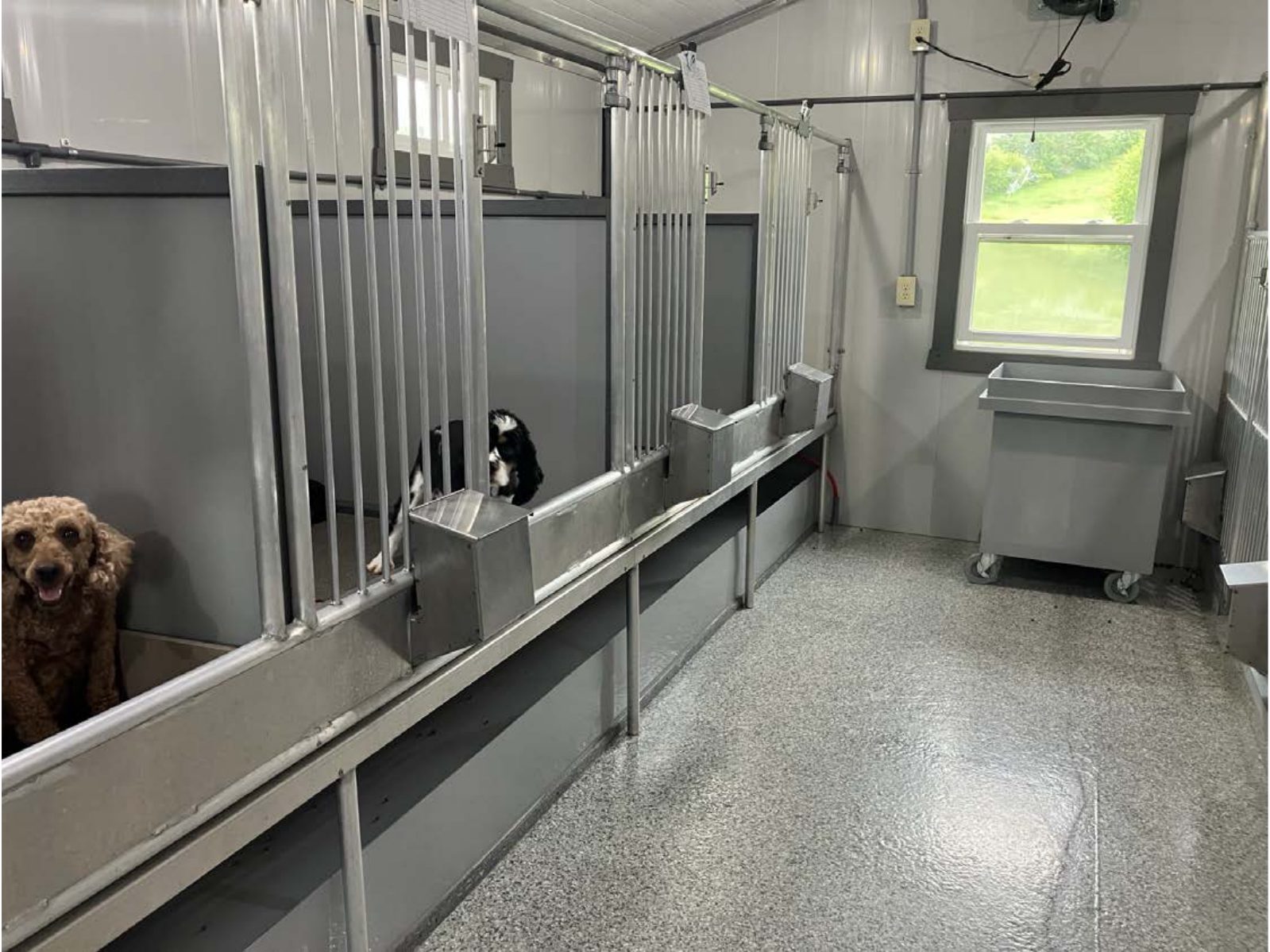 Kennel photograph taken at the Ohio inspection of Aden R Troyer – Baltic, OH on May 20, 2025, page 2 of the inspection report