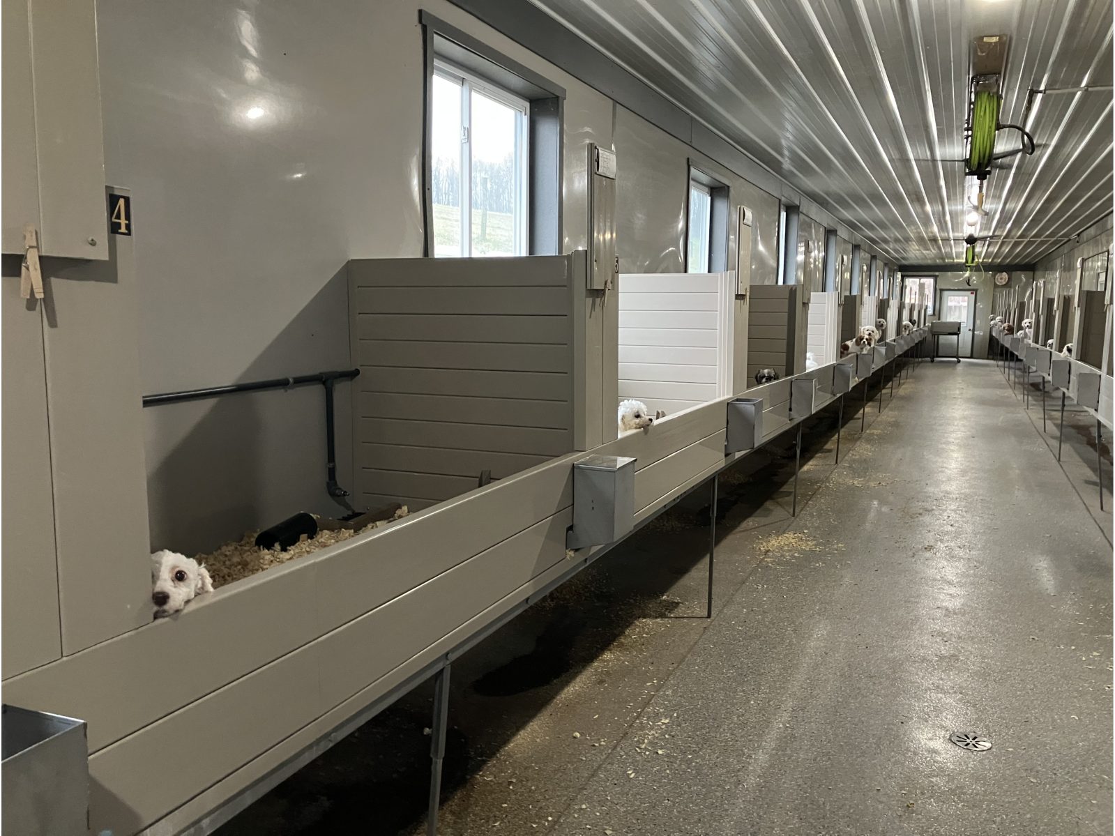 Kennel photograph taken at the Ohio inspection of Abe R Yoder – Hollowside Puppies / Woodside Kennel / Treeline Kennel on December 16, 2024, page 3 of the inspection report