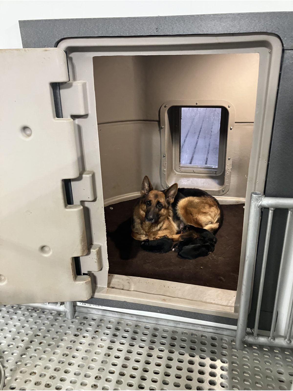 Kennel photograph taken at the Ohio inspection of Daniel J Yoder – Millersburg, OH on December 10, 2025, page 2 of the inspection report