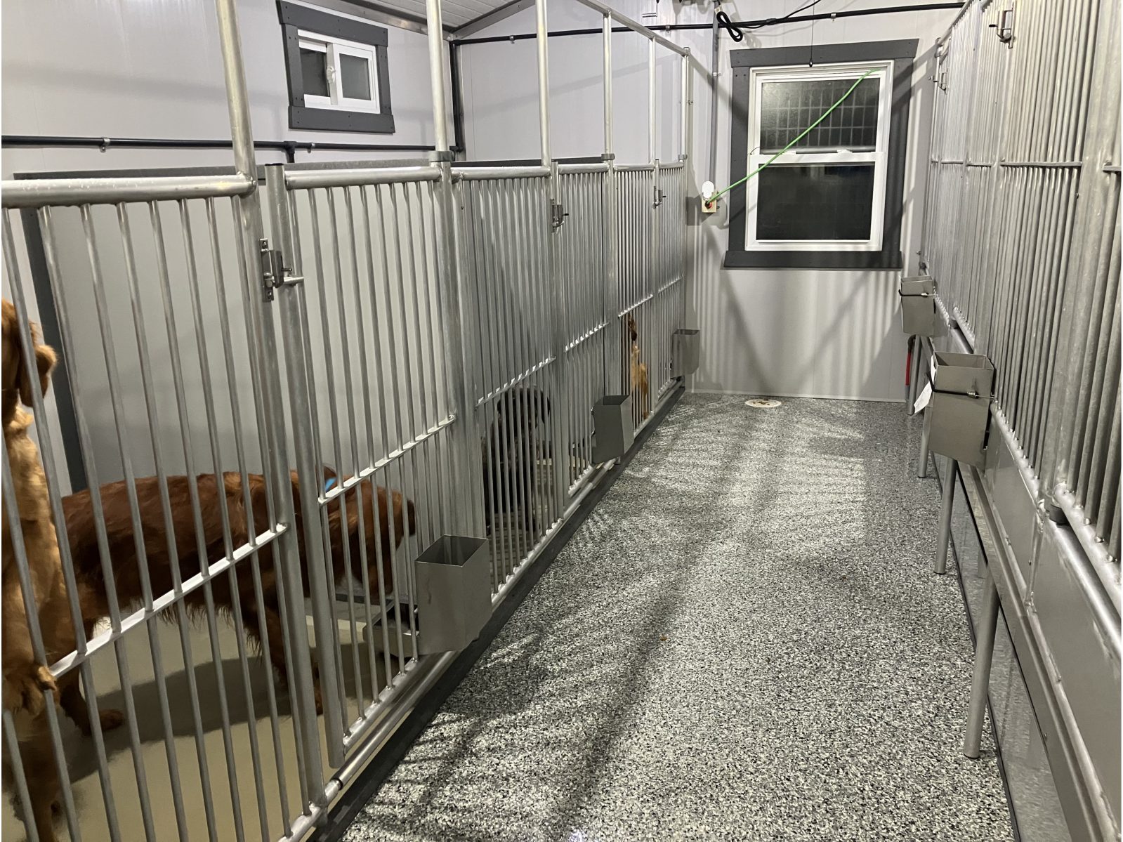 Kennel photograph taken at the Ohio inspection of Daniel W Burkholder – Country View Puppies on November 14, 2024, page 3 of the inspection report