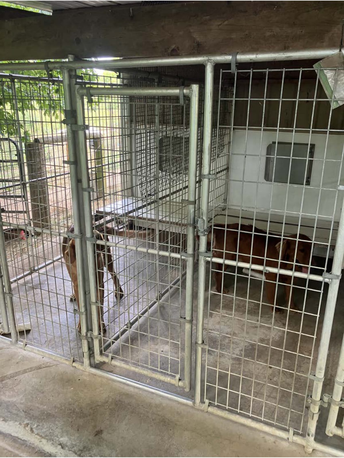 Kennel photograph taken at the Ohio inspection of Eli D Hostetler – Holmesville, OH on August 28, 2025, page 3 of the inspection report