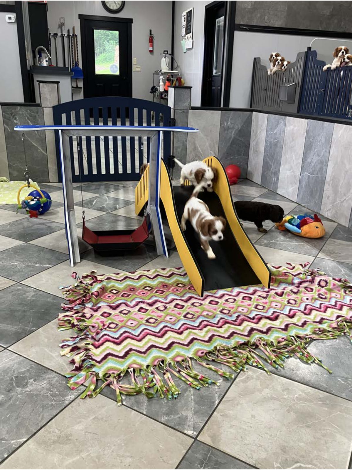 Kennel photograph taken at the Ohio inspection of Jacob M Yoder – Sunset Valley Kennel on June 9, 2025, page 3 of the inspection report