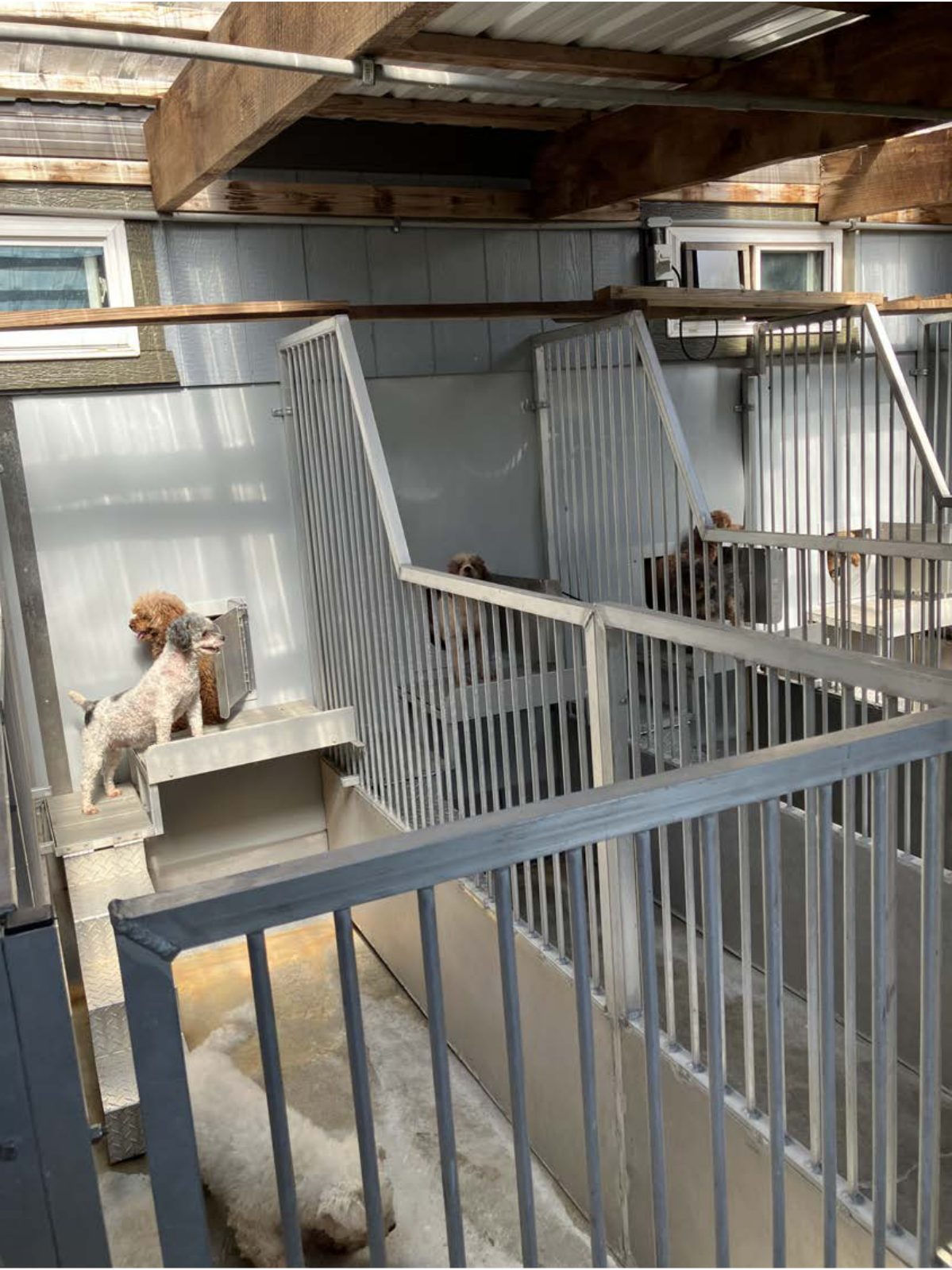 Kennel photograph taken at the Ohio inspection of Ivan D Weaver – Fredericksburg, OH on July 2, 2025, page 3 of the inspection report