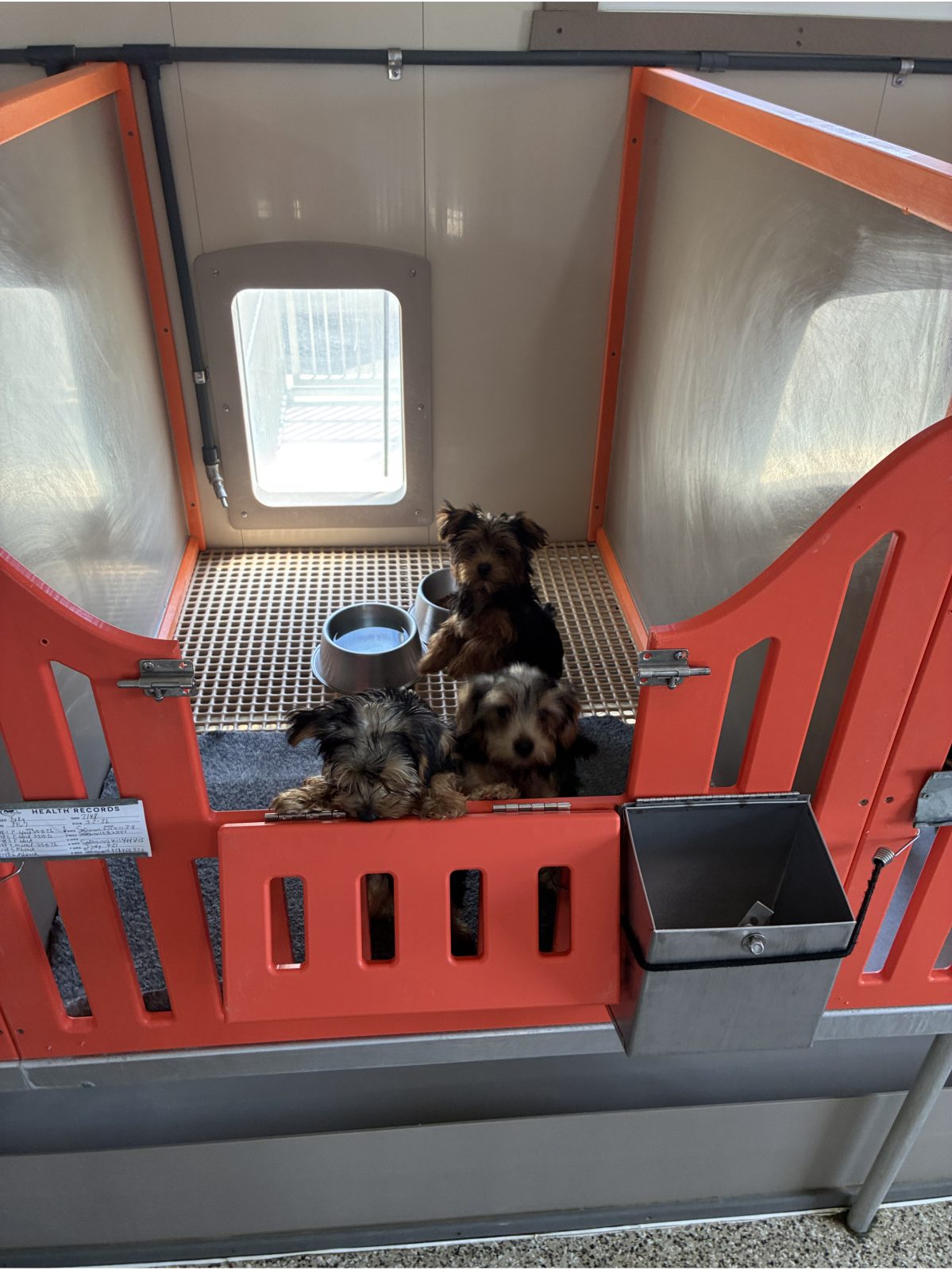 Kennel photograph taken at the Ohio inspection of Louella Burkholder – Greenwich, OH on June 12, 2026, page 3 of the inspection report