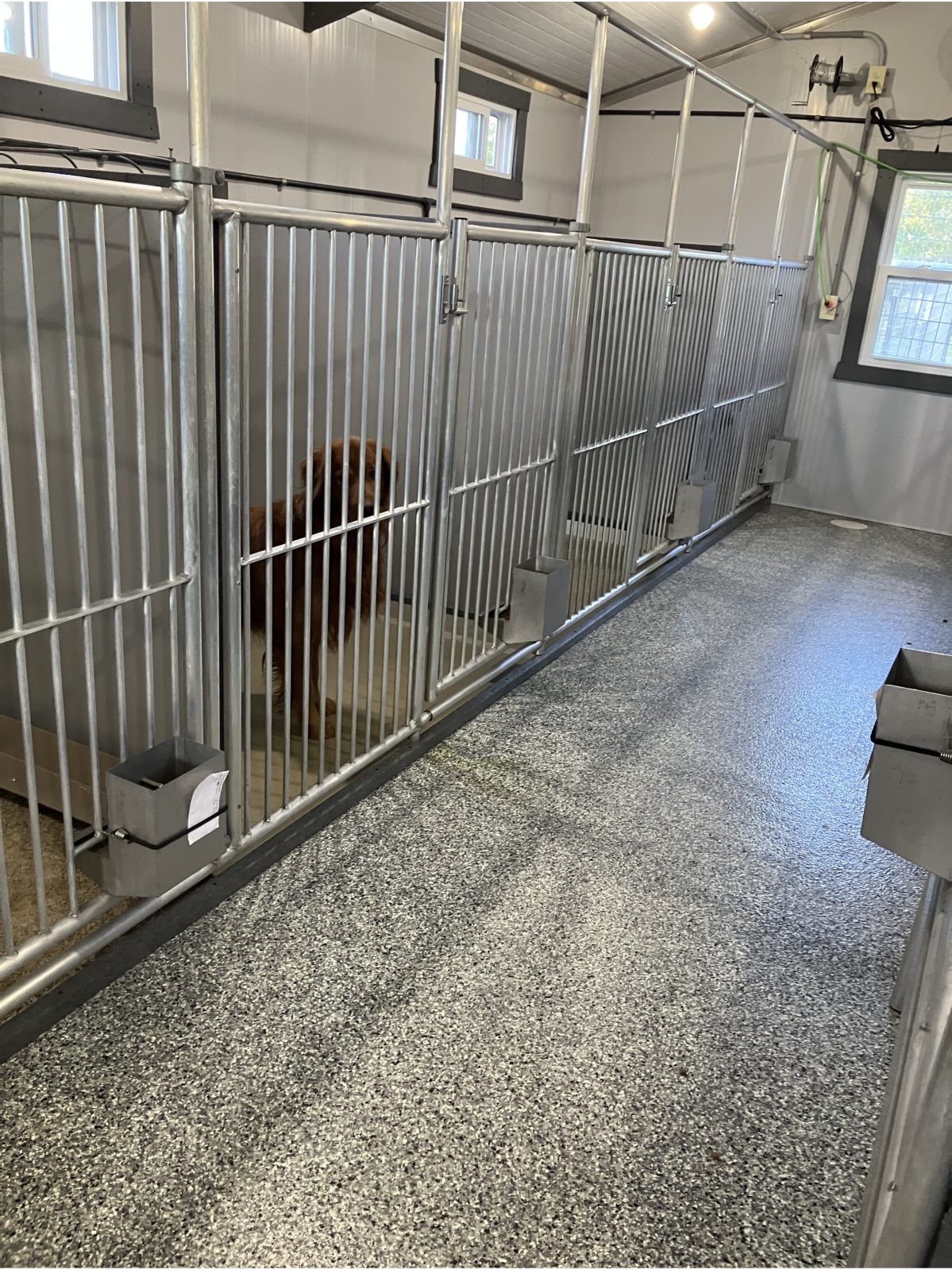 Kennel photograph taken at the Ohio inspection of Daniel W Burkholder – Country View Puppies on October 8, 2025, page 3 of the inspection report