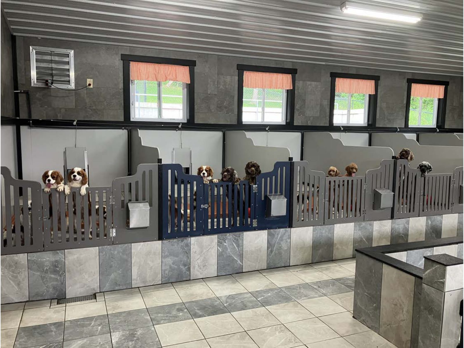 Kennel photograph taken at the Ohio inspection of Jacob M Yoder – Sunset Valley Kennel on June 9, 2025, page 2 of the inspection report