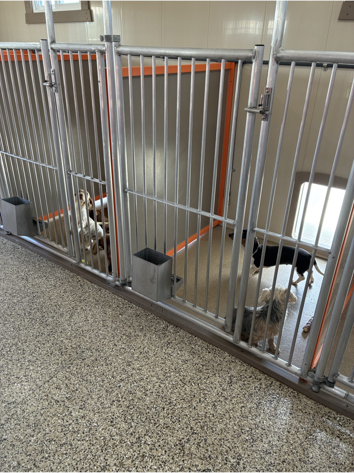 Kennel photograph taken at the Ohio inspection of Louella Burkholder – Greenwich, OH on June 12, 2026, page 2 of the inspection report