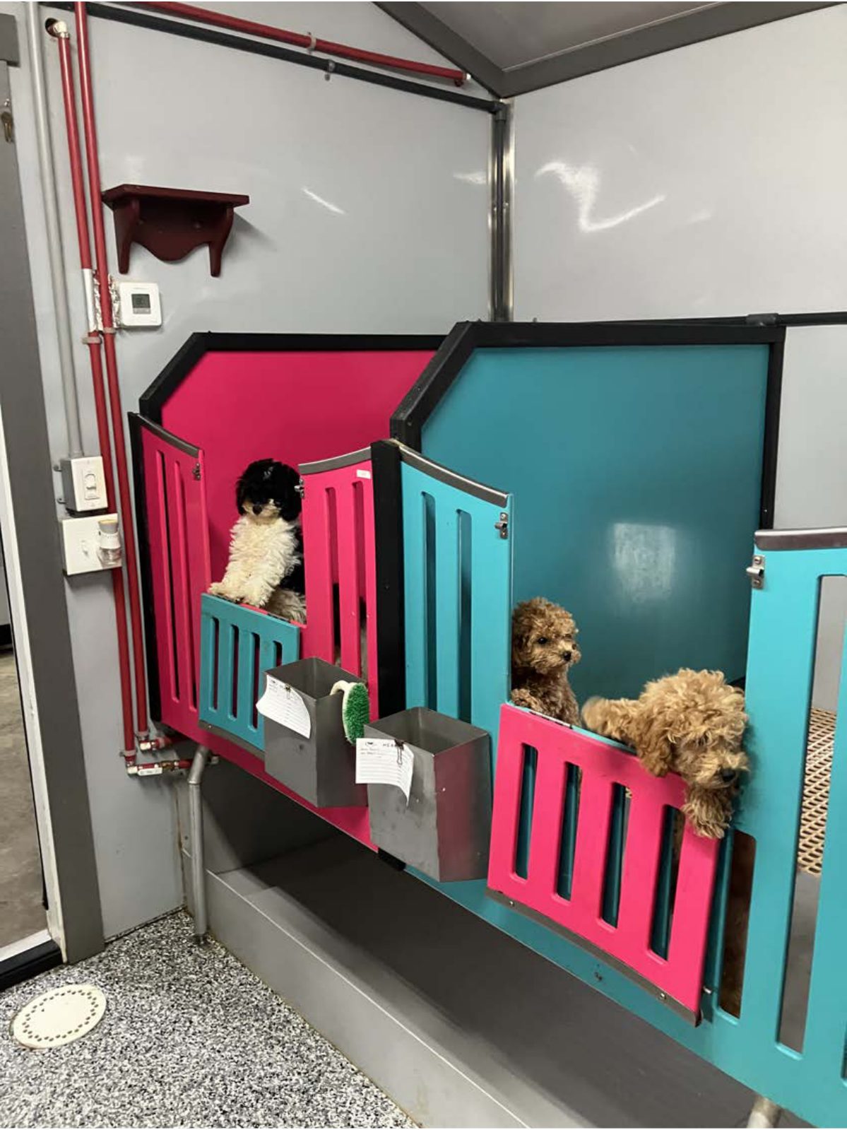 Kennel photograph taken at the Ohio inspection of Ivan D Weaver – Fredericksburg, OH on July 2, 2025, page 2 of the inspection report