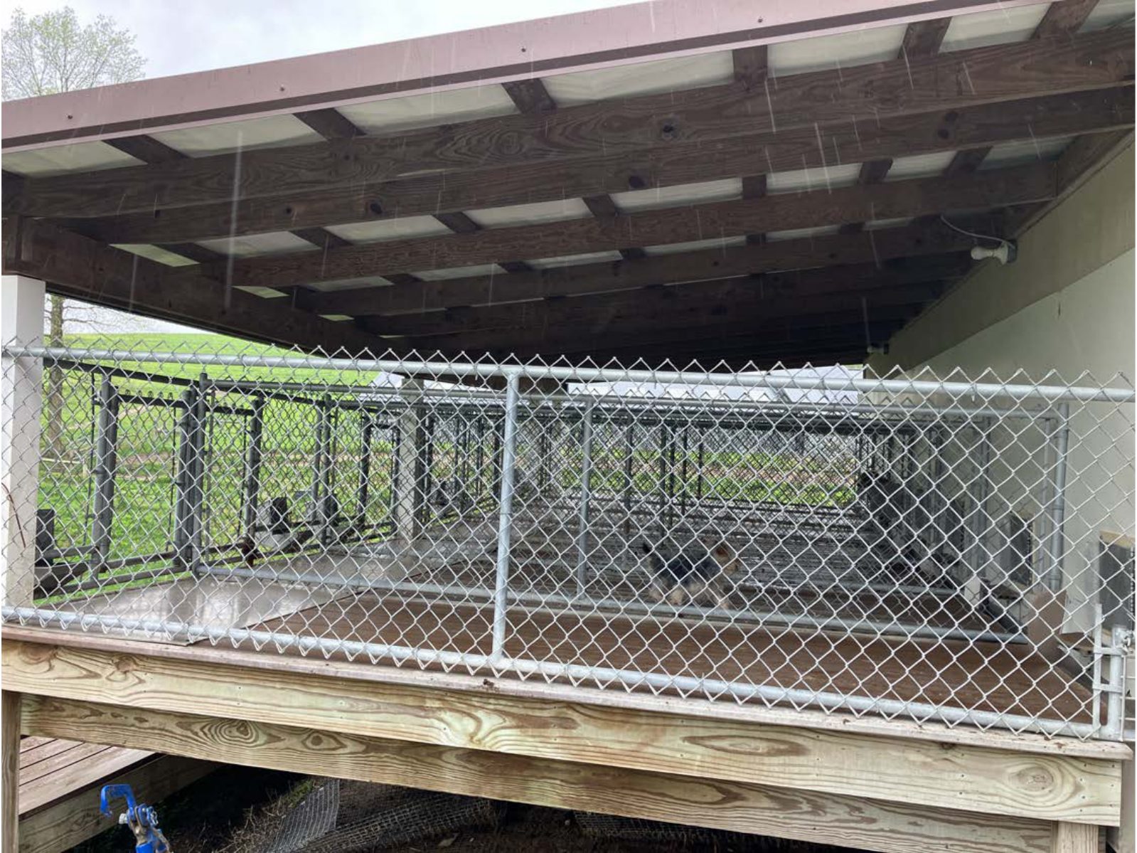 Kennel photograph taken at the Ohio inspection of Albert E Yoder – Cuddly Canine on May 6, 2025, page 5 of the inspection report