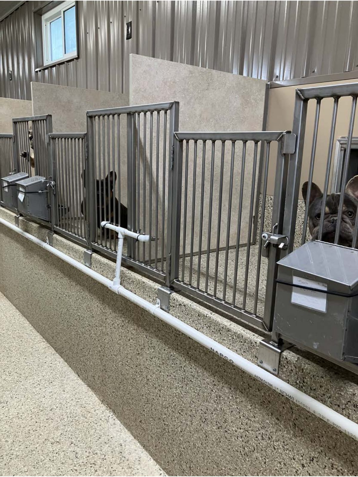Kennel photograph taken at the Ohio inspection of Josh Garber – Bradford, OH (31-A-0587) on July 1, 2025, page 2 of the inspection report