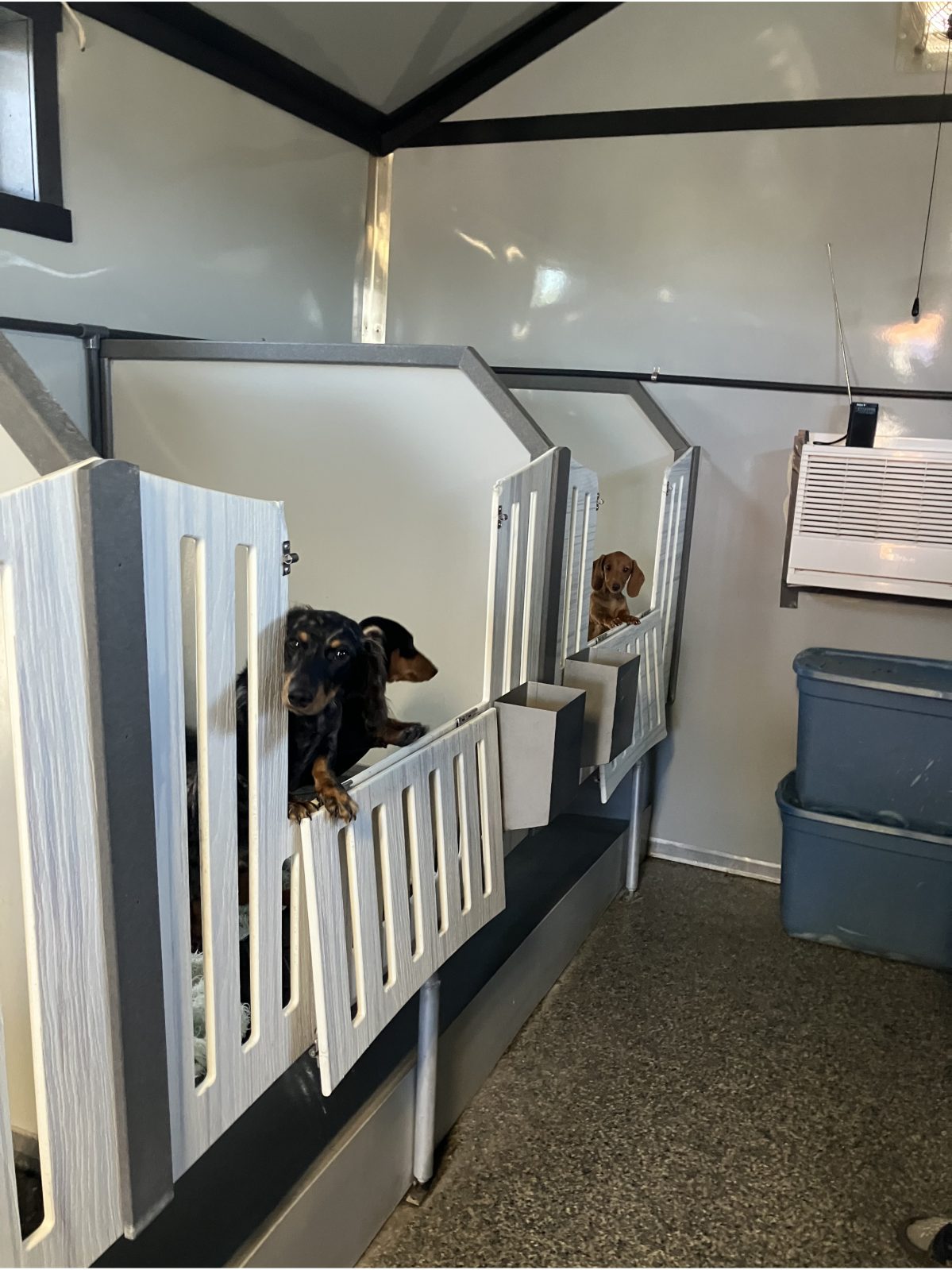 Kennel photograph taken at the Ohio inspection of Stephen Fehr – Millersburg, OH on October 2, 2025, page 2 of the inspection report
