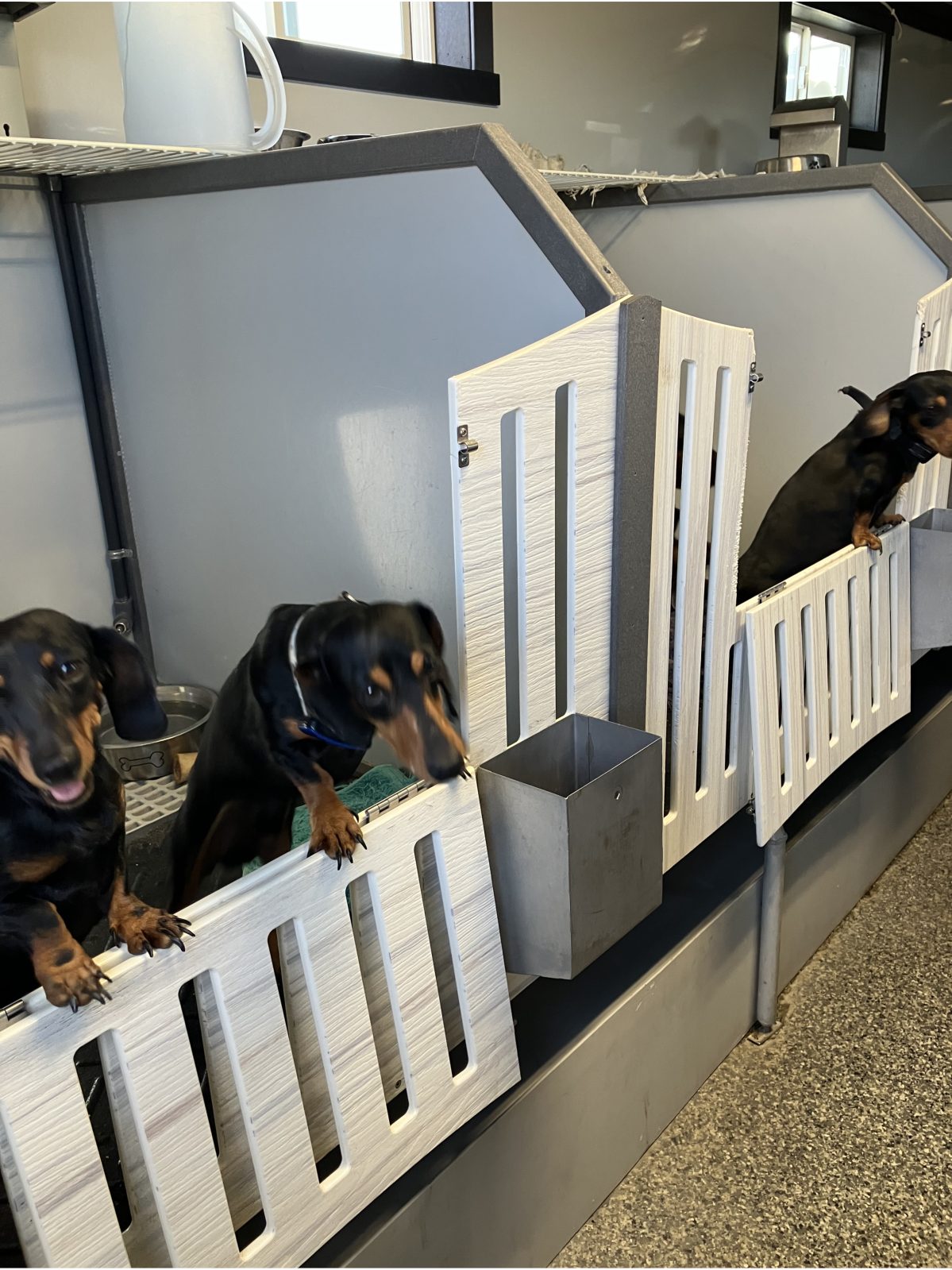 Kennel photograph taken at the Ohio inspection of Stephen Fehr – Millersburg, OH on October 2, 2025, page 3 of the inspection report