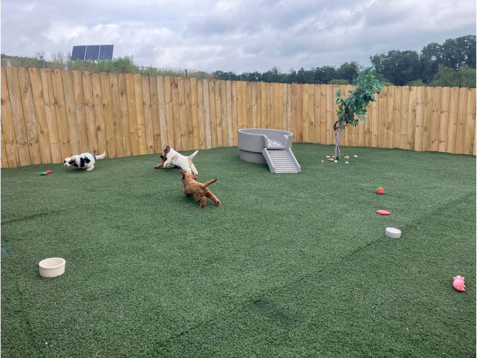Kennel photograph taken at the Ohio inspection of Aaron E Beachy – Hickory Lane Puppies on July 8, 2025, page 3 of the inspection report