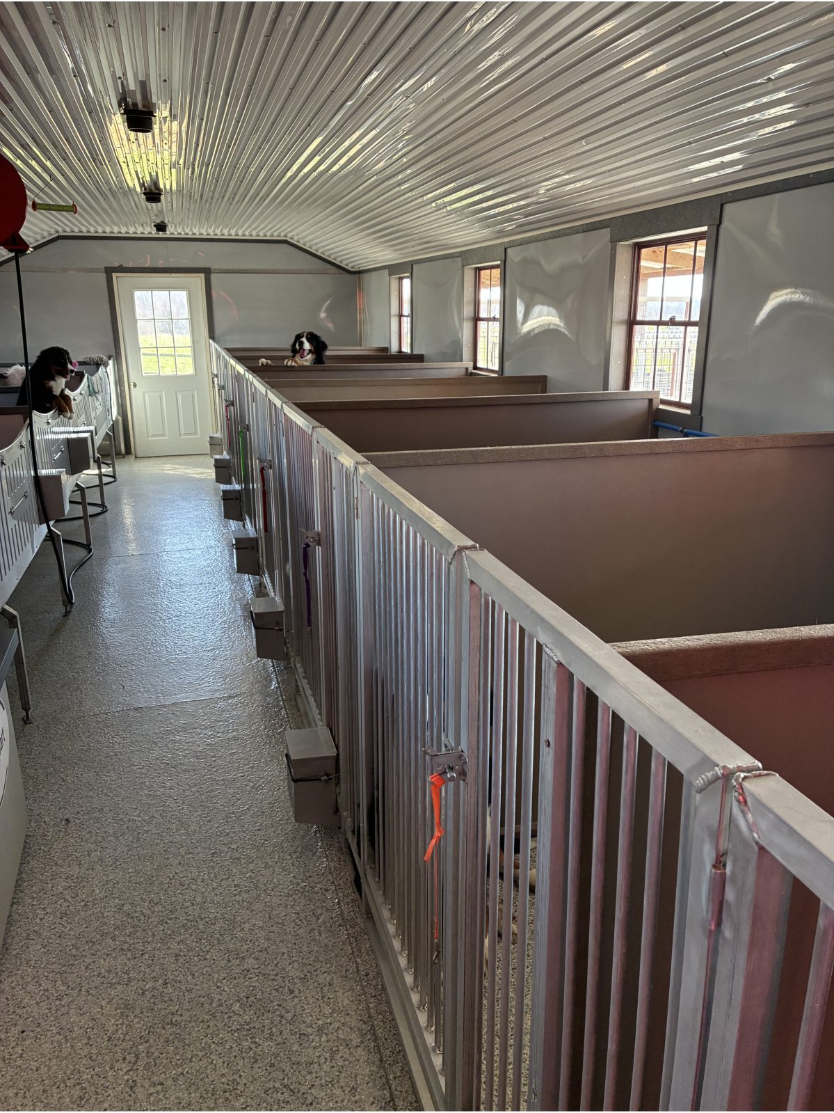 Kennel photograph taken at the Ohio inspection of Elton Yoder – Paramount Pets on March 12, 2026, page 2 of the inspection report