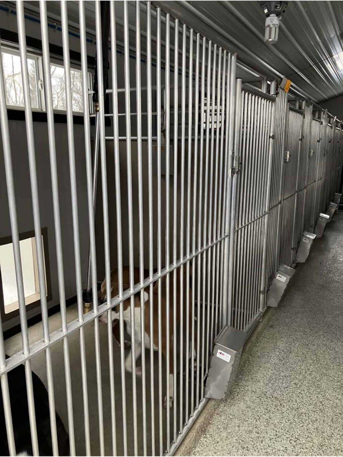 Kennel photograph taken at the Ohio inspection of Betty A Yoder – Countryside Stone on January 23, 2025, page 2 of the inspection report