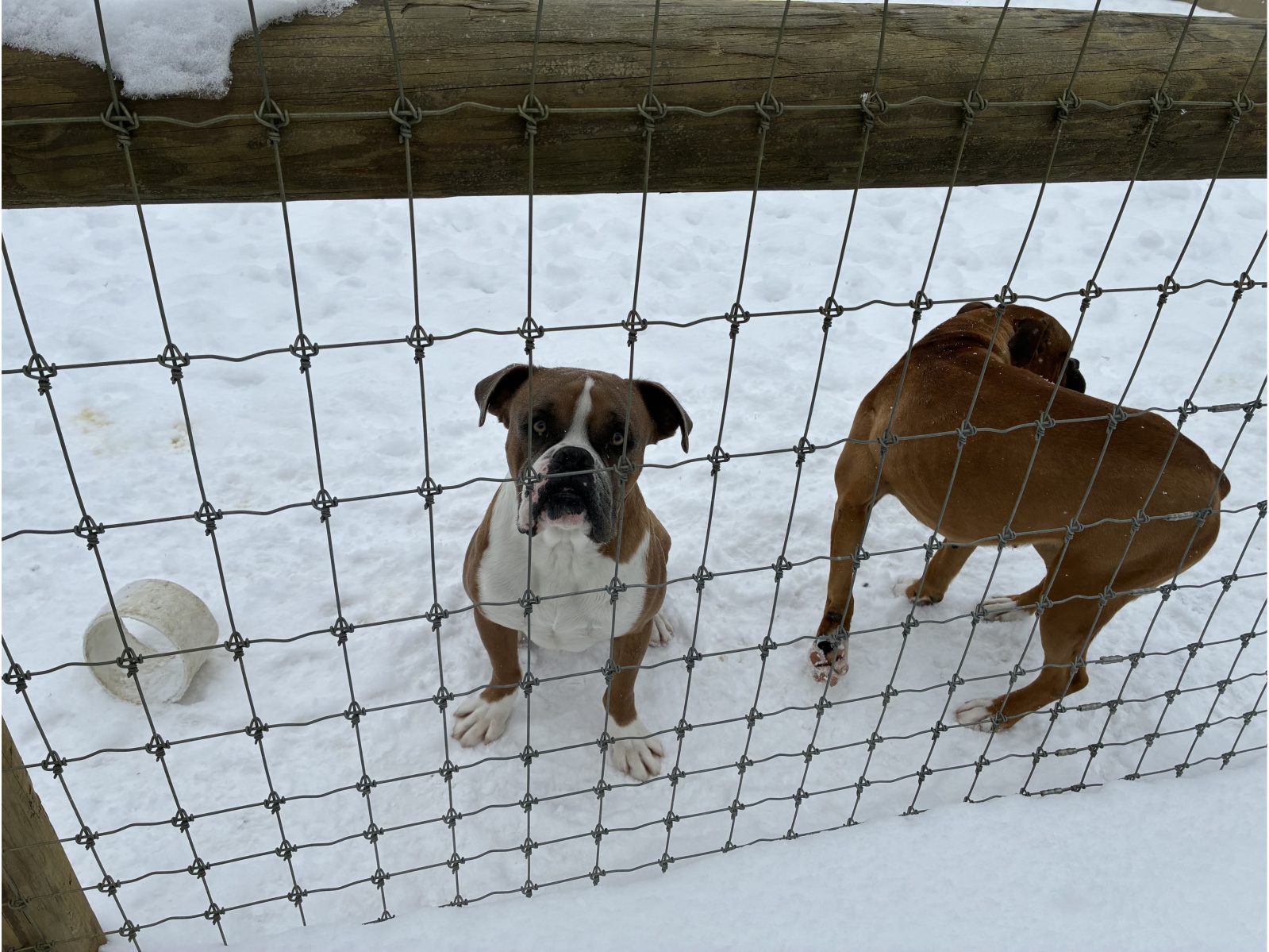 Kennel photograph taken at the Ohio inspection of Betty A Yoder – Countryside Stone on February 6, 2026, page 2 of the inspection report