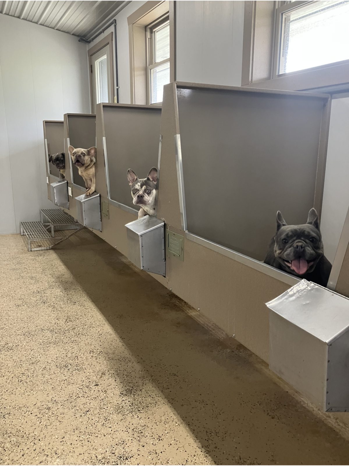 Kennel photograph taken at the Ohio inspection of Reuben M Schlabach – Sharp Run Kennel on November 10, 2025, page 3 of the inspection report