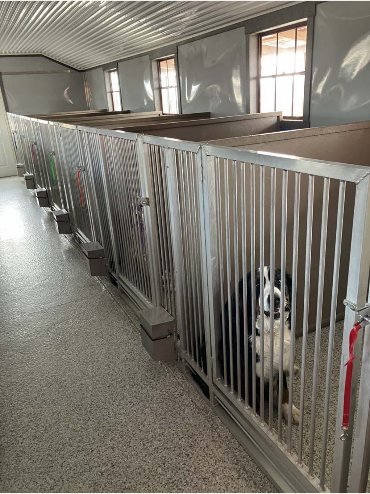 Kennel photograph taken at the Ohio inspection of Elton Yoder – Paramount Pets on January 30, 2025, page 2 of the inspection report