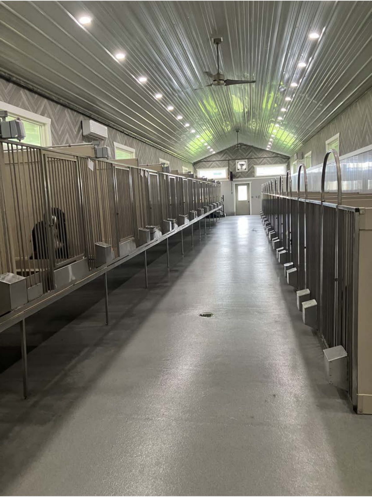 Kennel photograph taken at the Ohio inspection of Ivan Gingerich – United Pets on May 20, 2025, page 2 of the inspection report