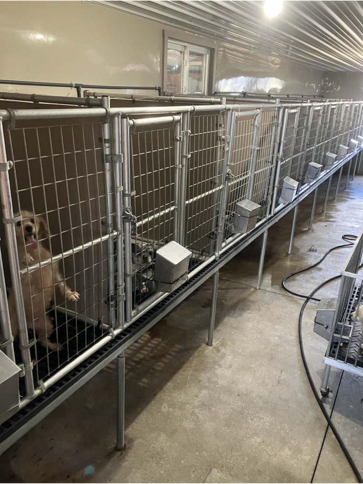 Kennel photograph taken at the Ohio inspection of David W Weaver – Millersburg, OH on February 4, 2025, page 3 of the inspection report