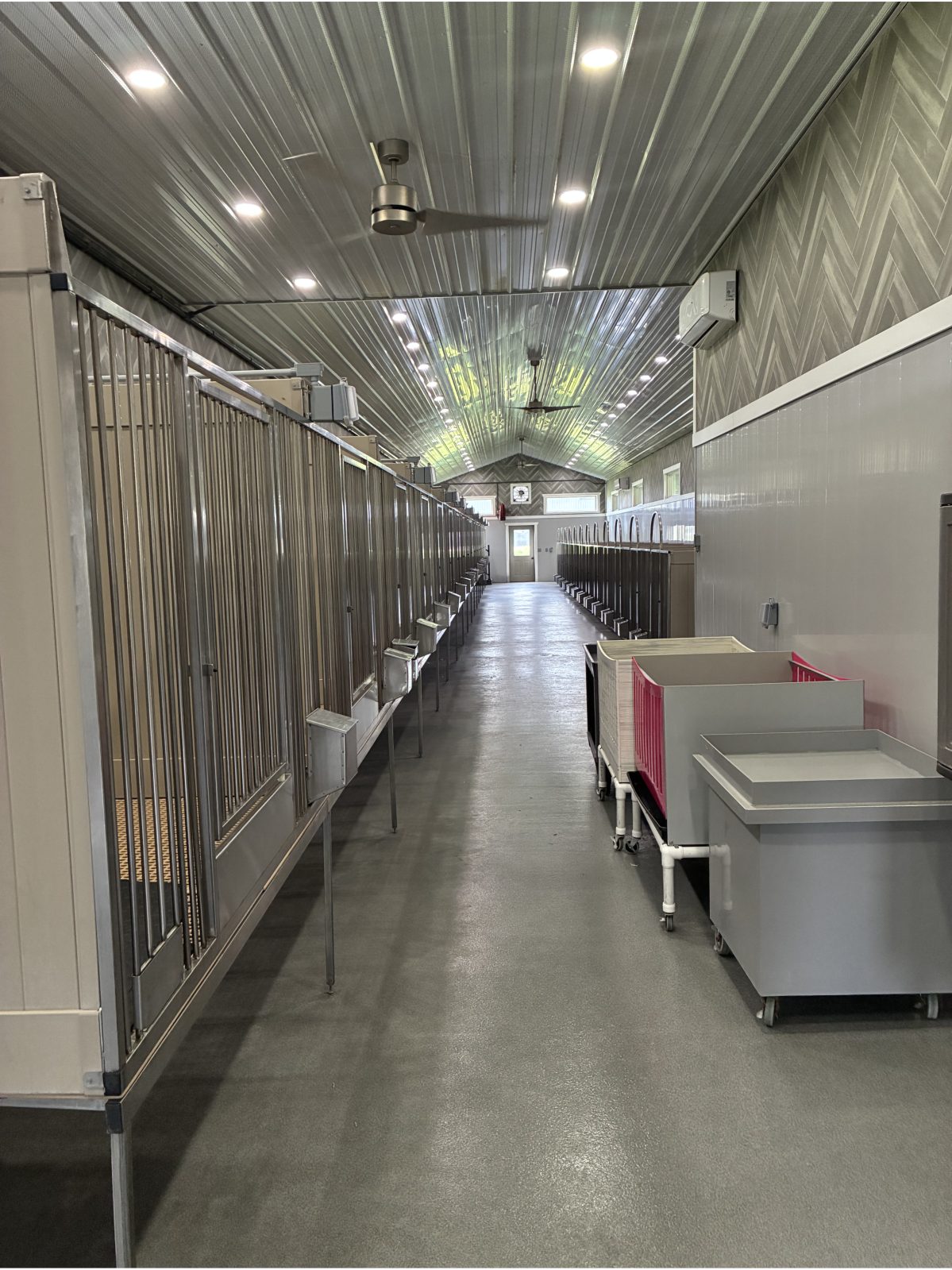 Kennel photograph taken at the Ohio inspection of Ivan Gingerich – United Pets on April 30, 2026, page 2 of the inspection report