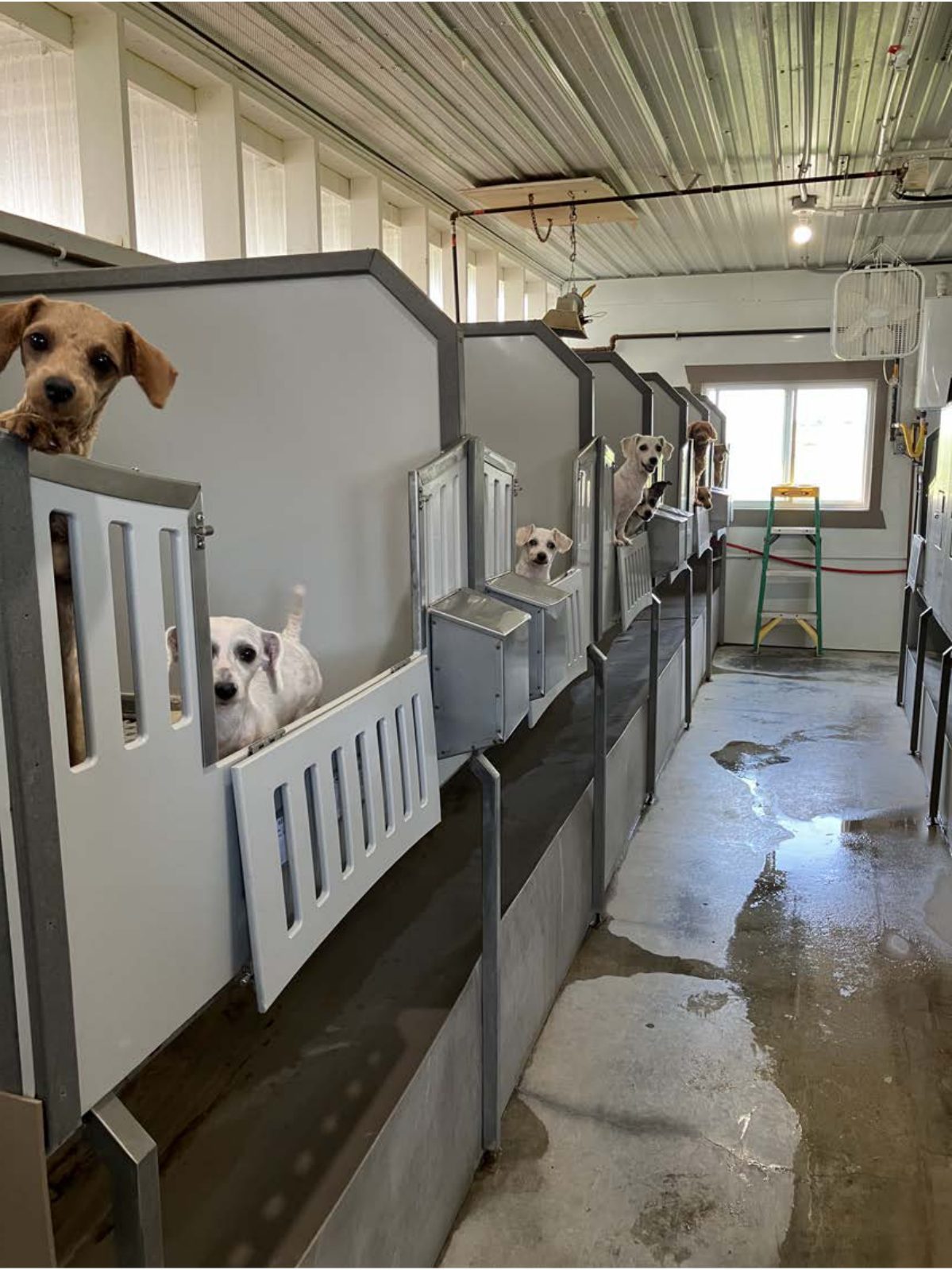 Kennel photograph taken at the Ohio inspection of Mose A Hershberger – Westview Kennel on July 17, 2025, page 2 of the inspection report