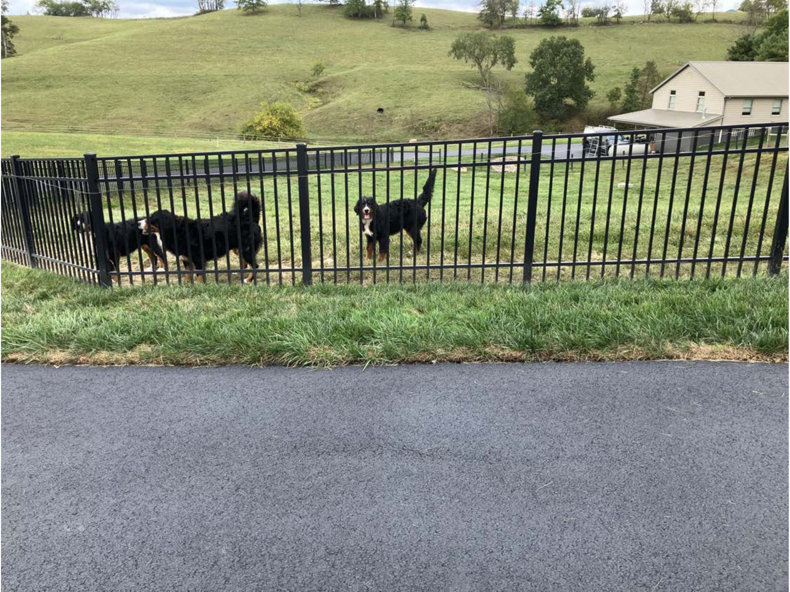 Kennel photograph taken at the Ohio inspection of Wayne E Miller – Pine Creek Puppies on September 25, 2025, page 3 of the inspection report