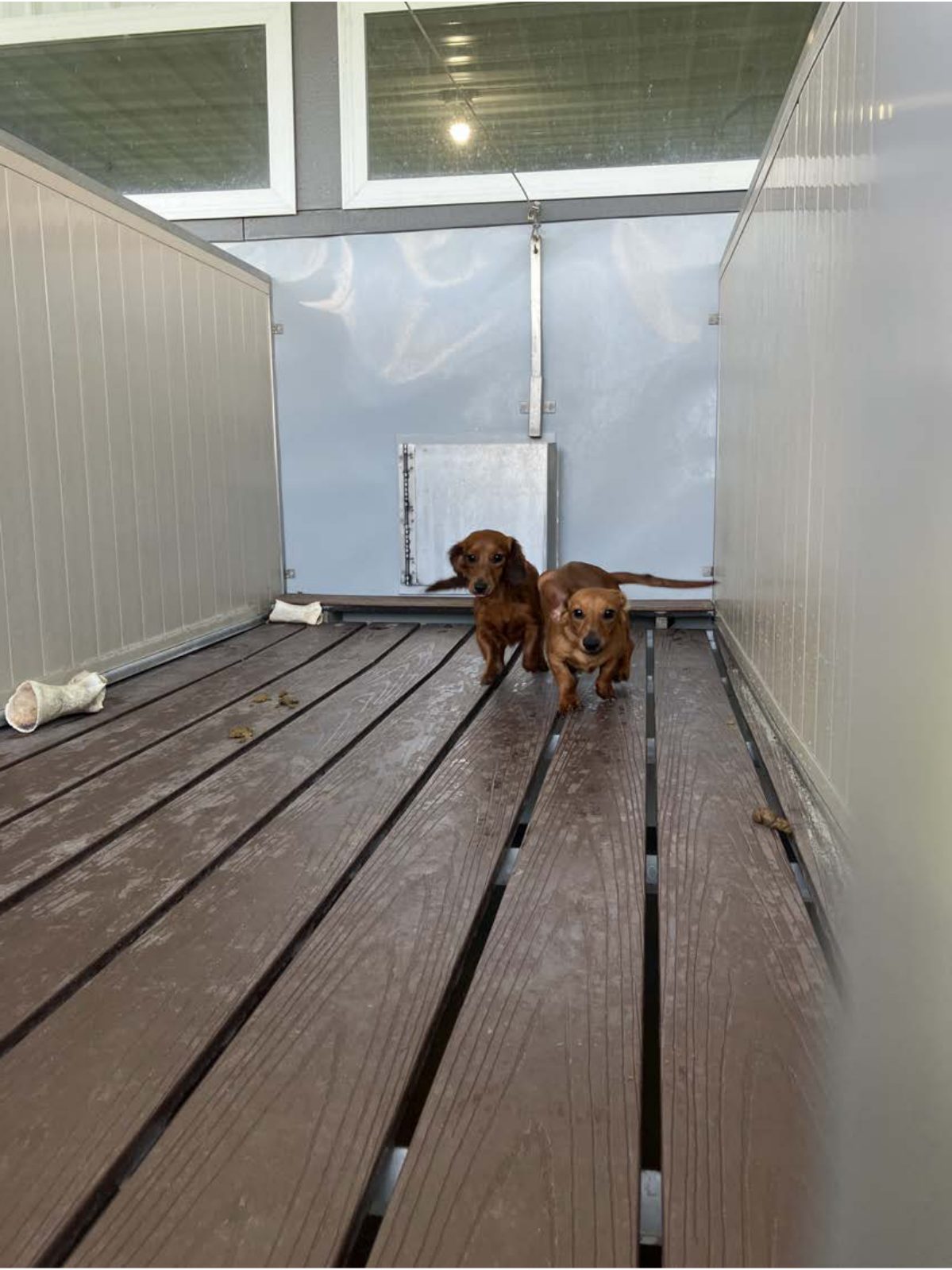Kennel photograph taken at the Ohio inspection of Mose A Hershberger – Westview Kennel on July 17, 2025, page 3 of the inspection report