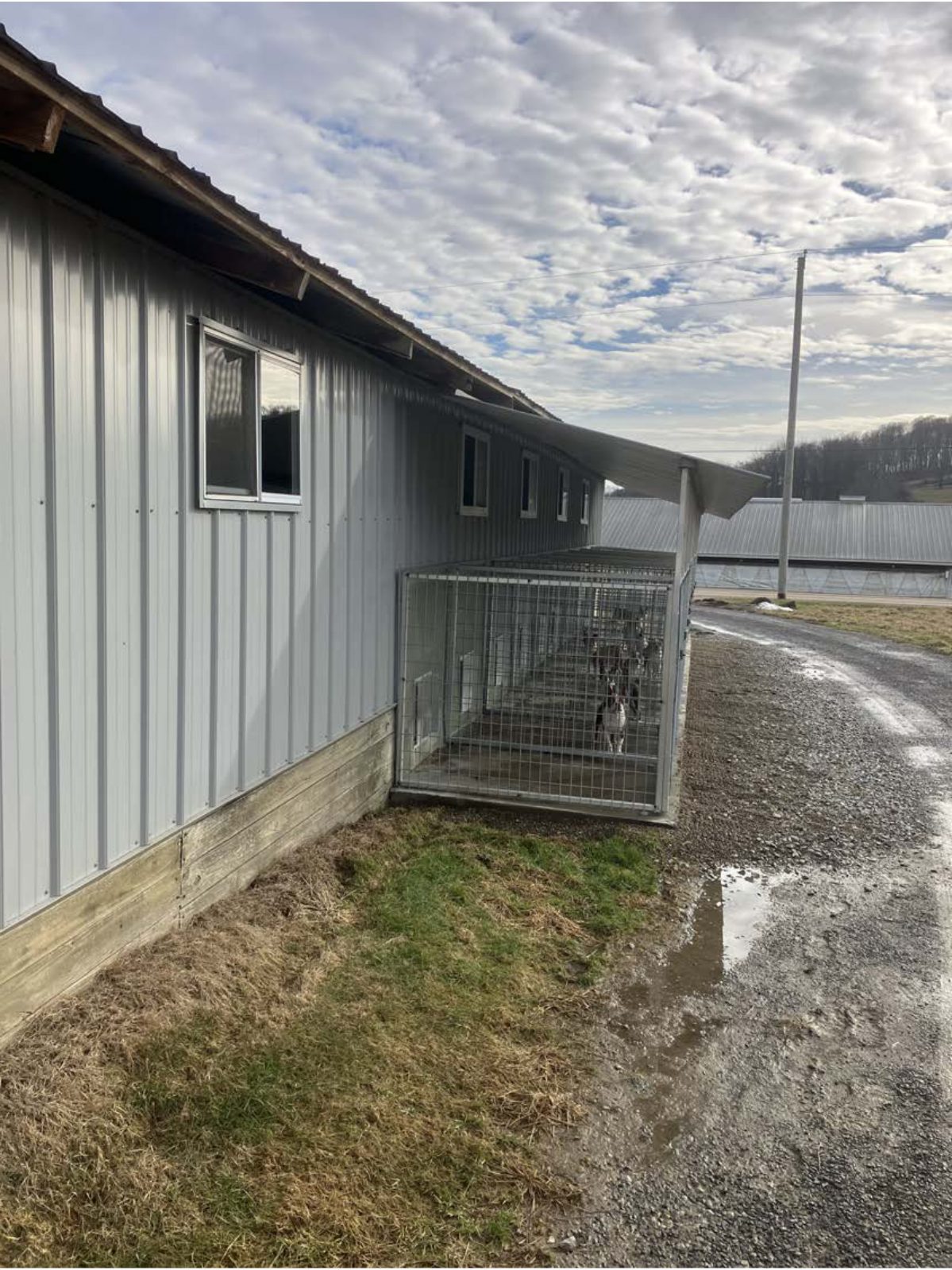 Kennel photograph taken at the Ohio inspection of Mark J Mast – Millersburg, OH on February 3, 2025, page 3 of the inspection report