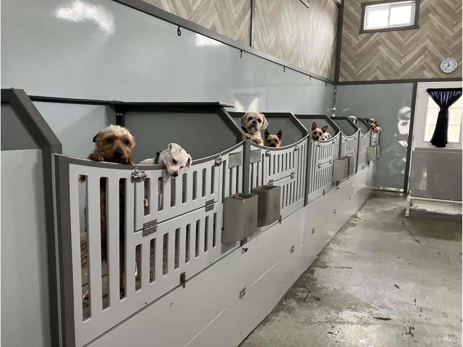 Kennel photograph taken at the Ohio inspection of Mary Shetler – County Line Kennel on February 24, 2025, page 2 of the inspection report