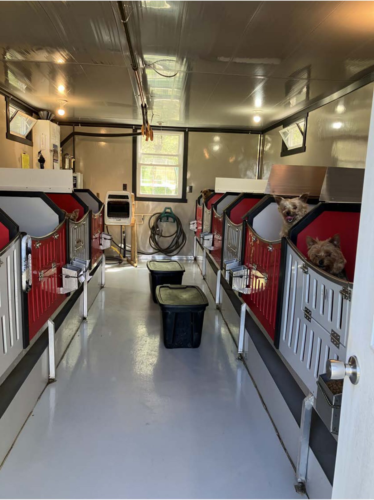 Kennel photograph taken at the Ohio inspection of Larry Raber – Apple Creek, OH on April 30, 2025, page 3 of the inspection report