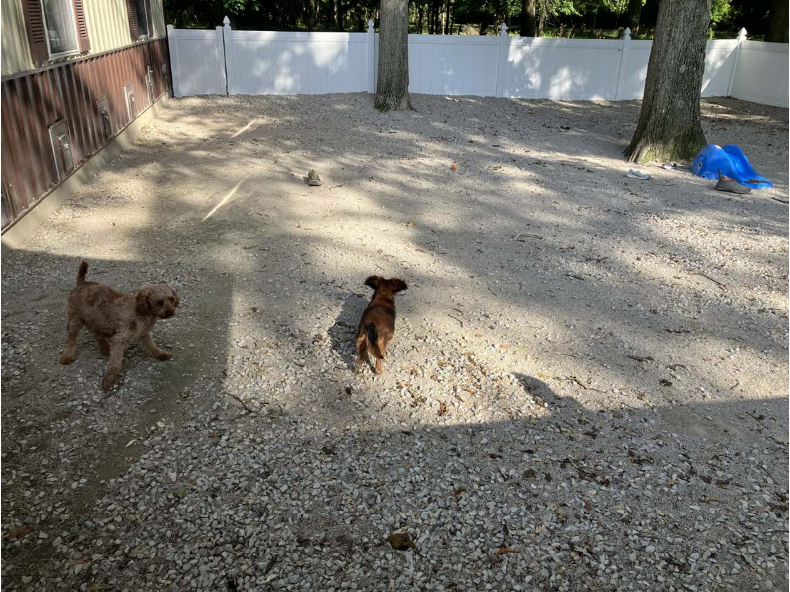 Kennel photograph taken at the Ohio inspection of Wayne H Burkholder – WD Puppies on August 27, 2025, page 4 of the inspection report
