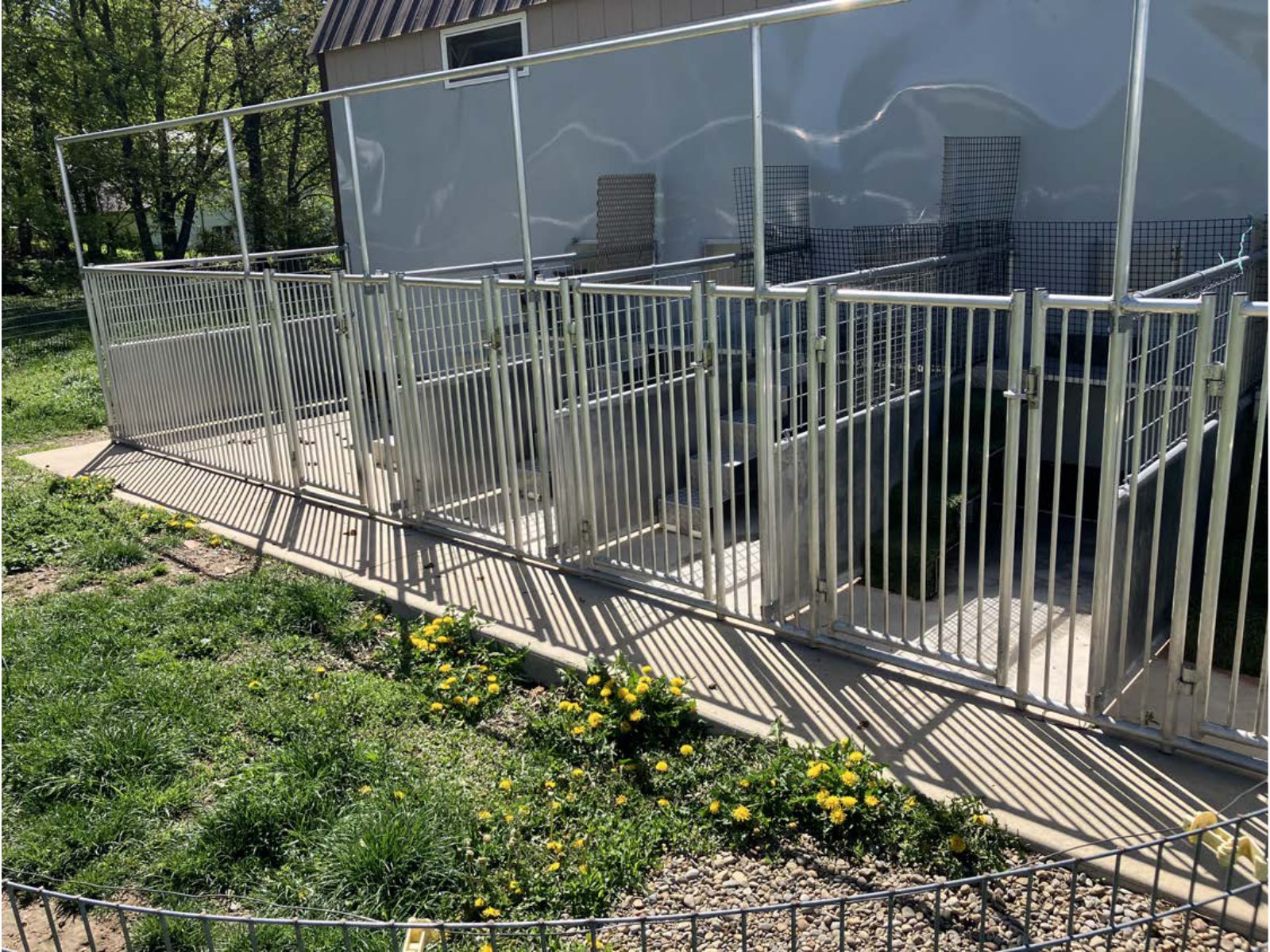 Kennel photograph taken at the Ohio inspection of Larry Raber – Apple Creek, OH on April 30, 2025, page 2 of the inspection report