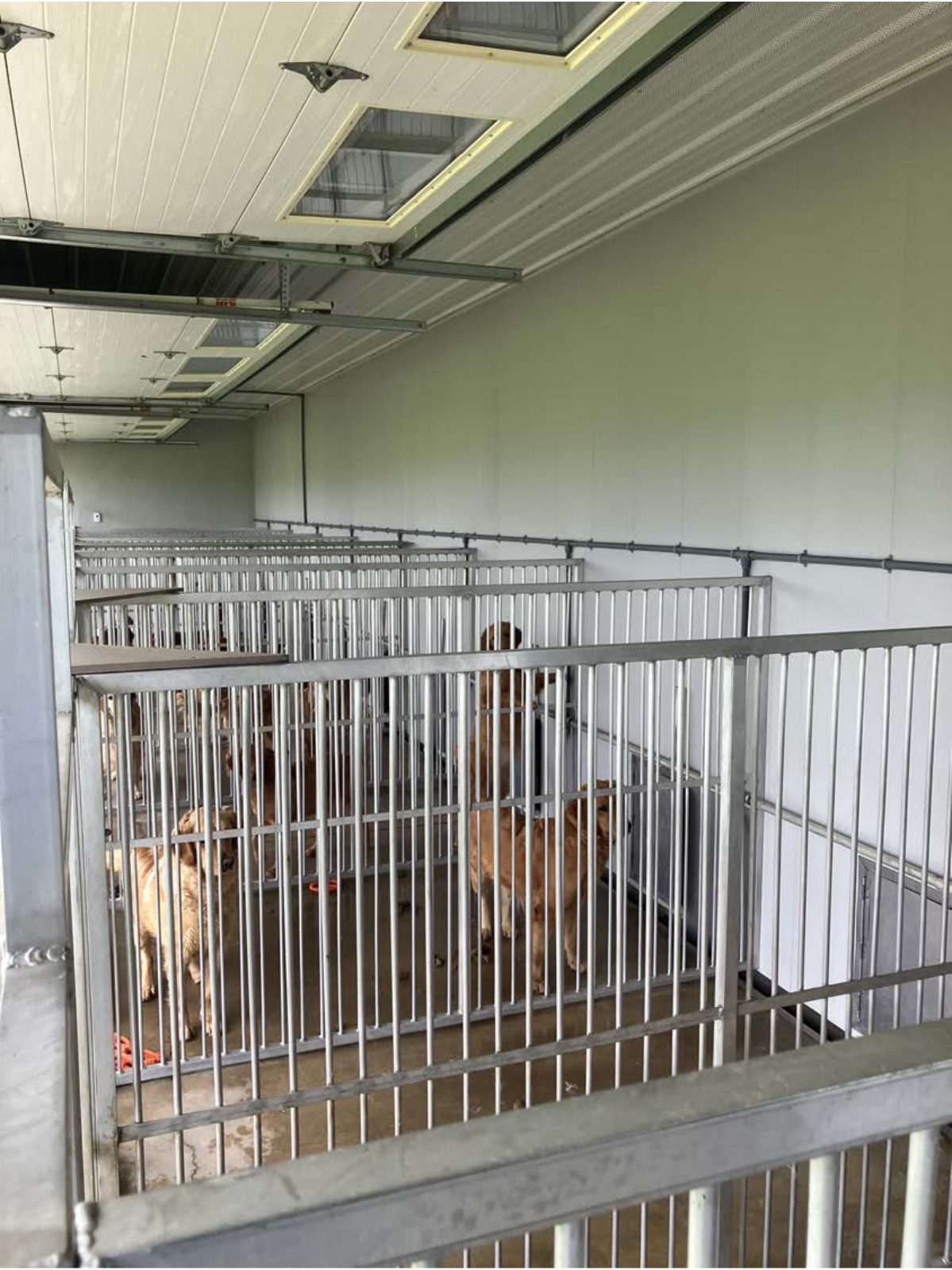 Kennel photograph taken at the Ohio inspection of Aden A Yoder – Trailblazer Kennel on June 6, 2025, page 2 of the inspection report