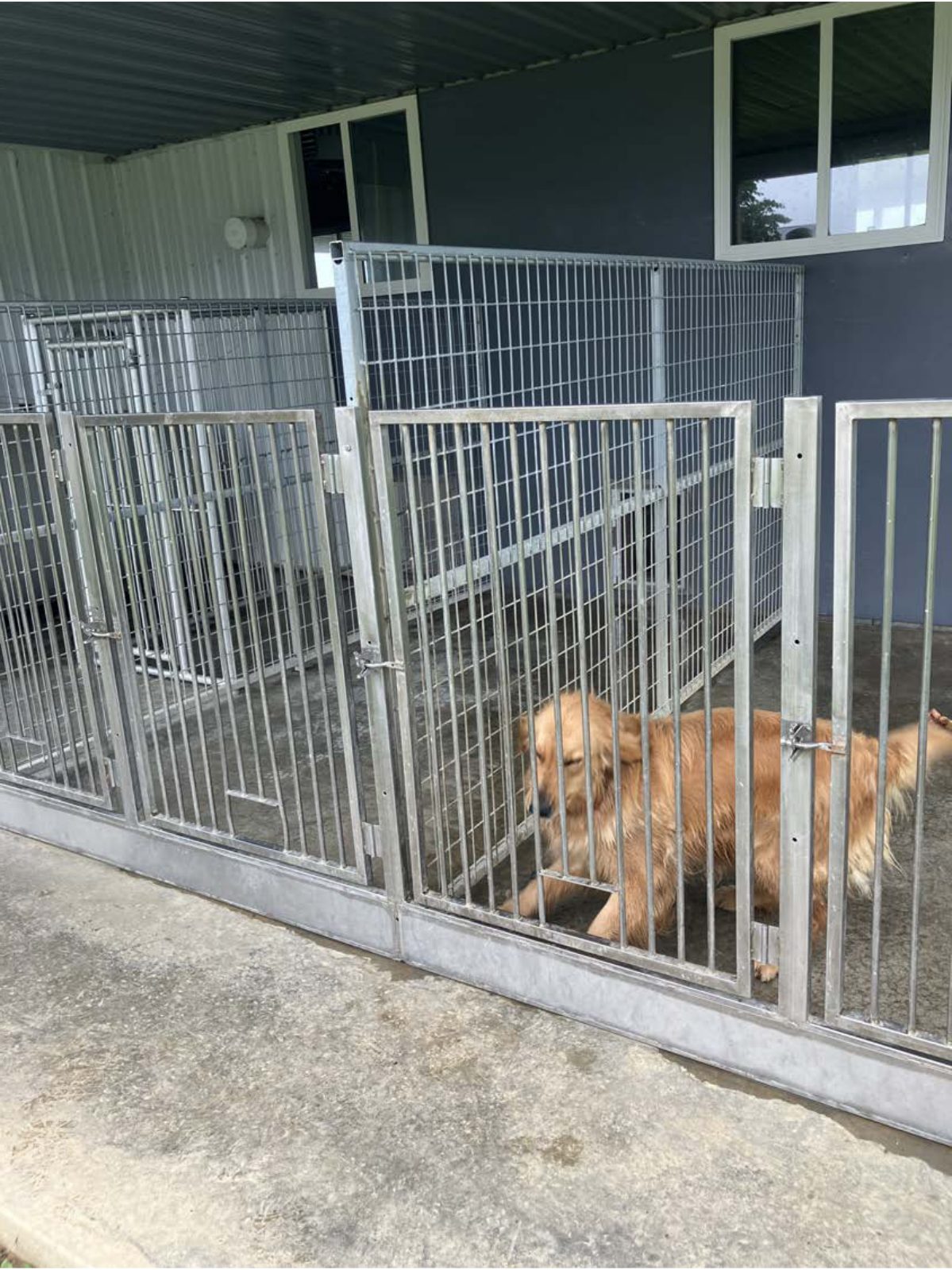 Kennel photograph taken at the Ohio inspection of Aden A Yoder – Trailblazer Kennel on June 6, 2025, page 2 of the inspection report