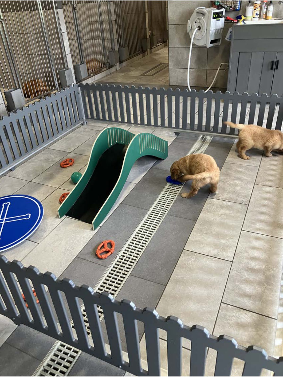 Kennel photograph taken at the Ohio inspection of Aden A Yoder – Trailblazer Kennel on June 6, 2025, page 3 of the inspection report