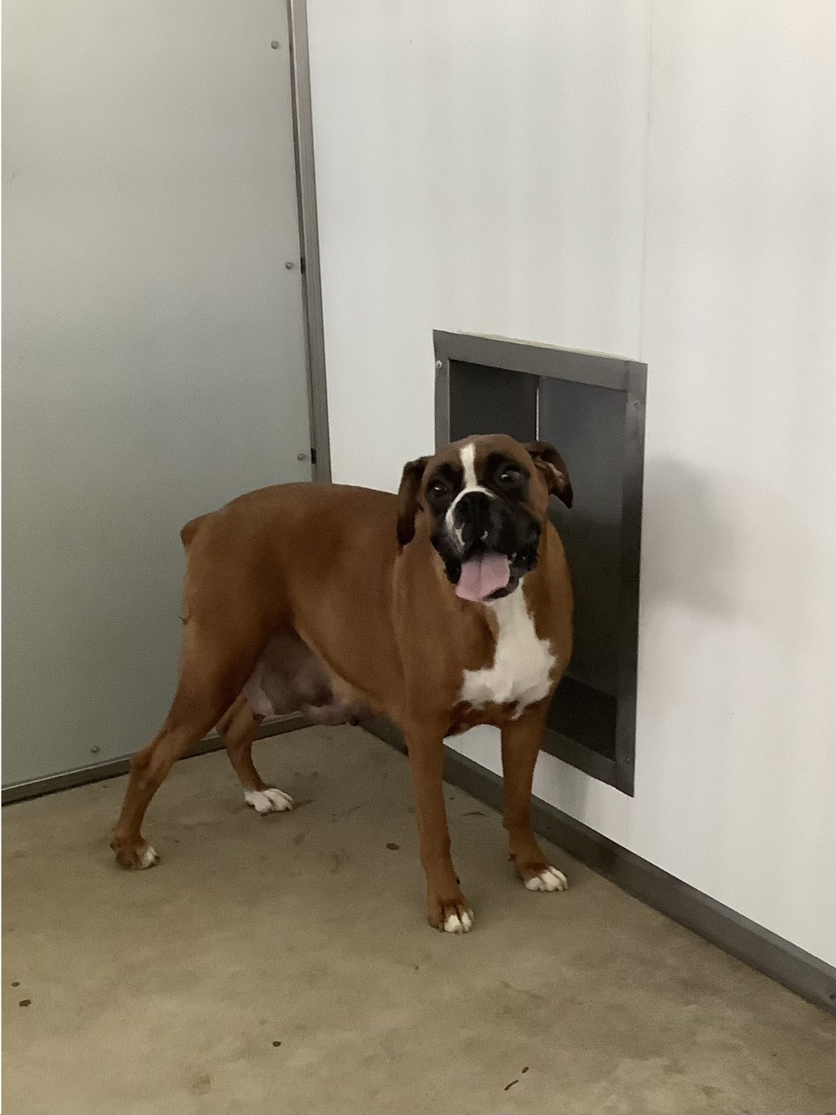 Kennel photograph taken at the Ohio inspection of Mose A Miller – Maple View Kennel on December 11, 2025, page 2 of the inspection report