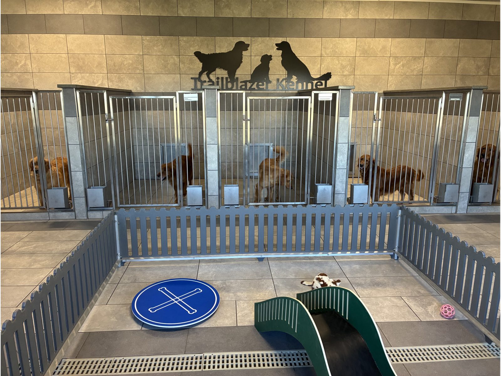 Kennel photograph taken at the Ohio inspection of Aden A Yoder – Trailblazer Kennel on February 26, 2026, page 3 of the inspection report