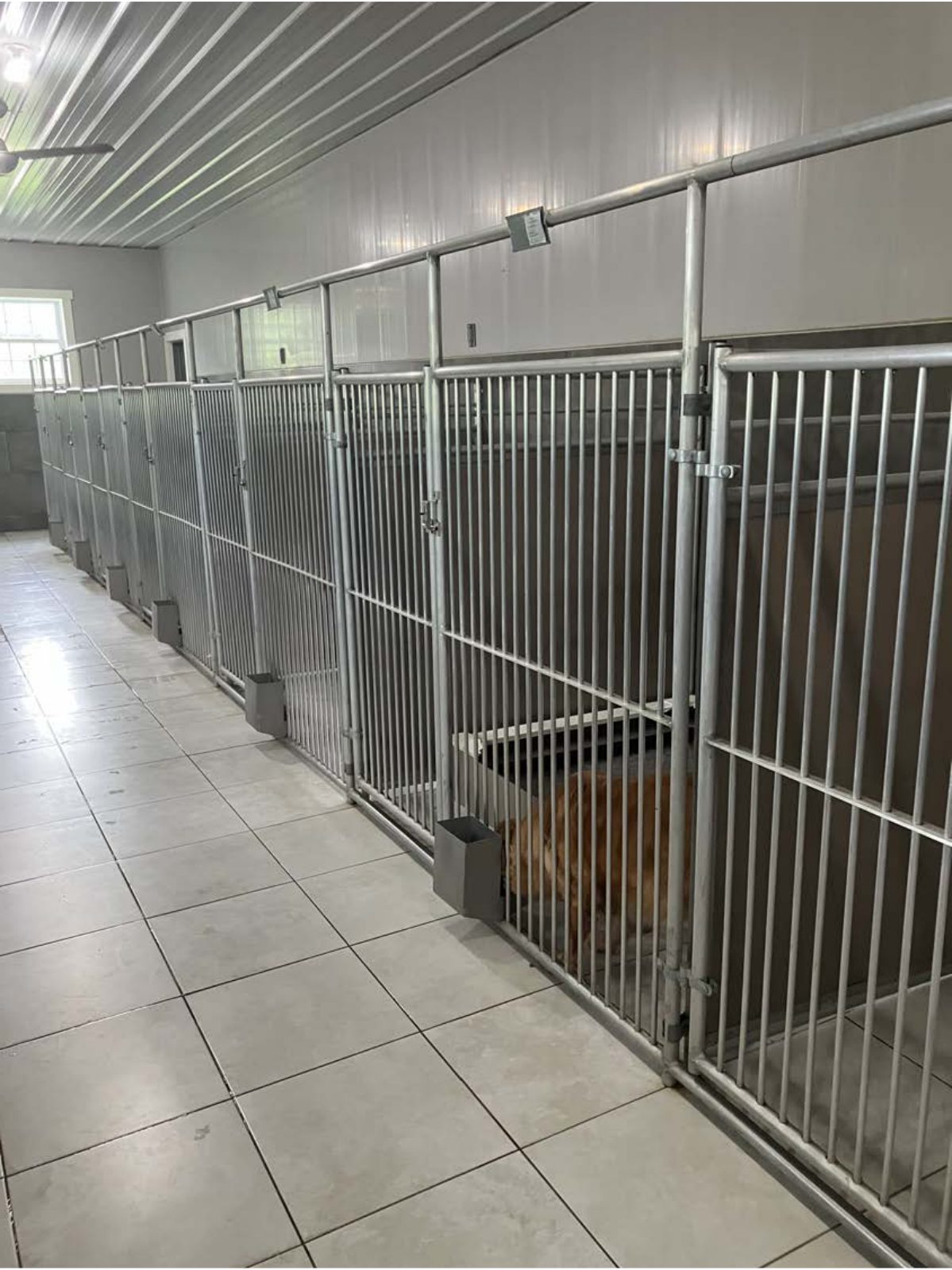 Kennel photograph taken at the Ohio inspection of Robert J Miller – Fredericksburg, OH on May 21, 2025, page 2 of the inspection report