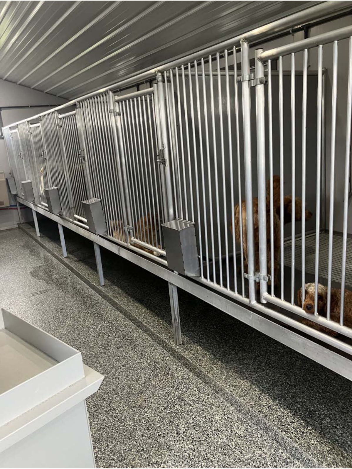 Kennel photograph taken at the Ohio inspection of Jacob Hershberger – Fredericksburg, OH on May 23, 2025, page 2 of the inspection report