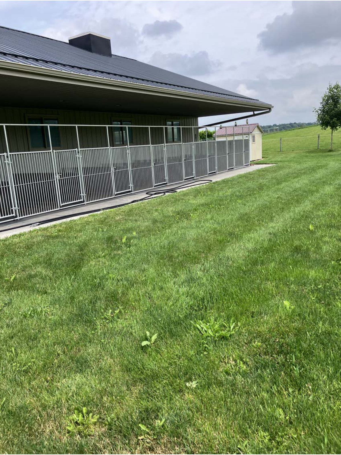 Kennel photograph taken at the Ohio inspection of Freeman R Troyer – First Choice Puppies / Morning Glory Kennels on June 16, 2025, page 2 of the inspection report